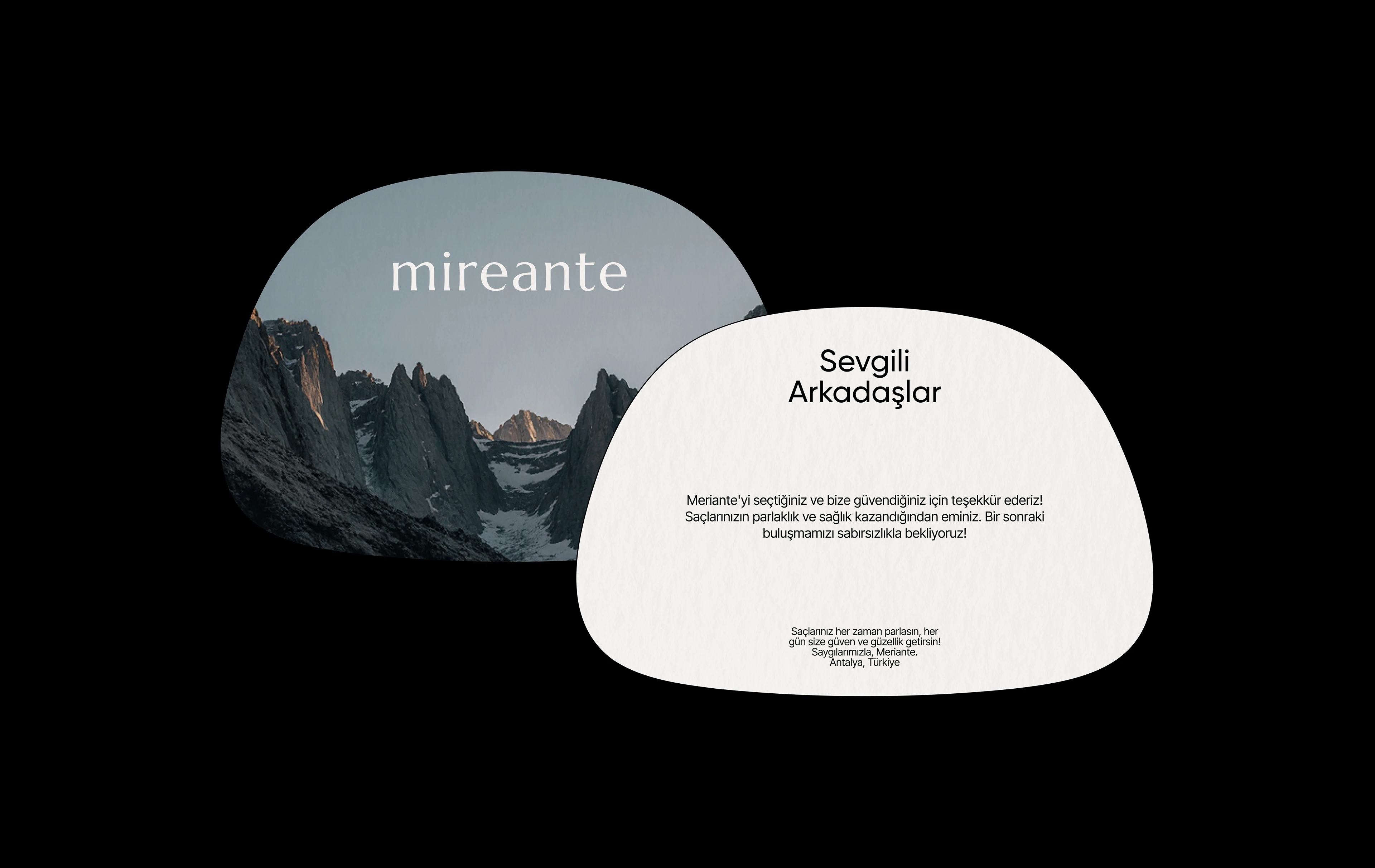 Mireante | айдентика уходовой косметики для волос — Изображение №10 — Брендинг, 3D на Dprofile