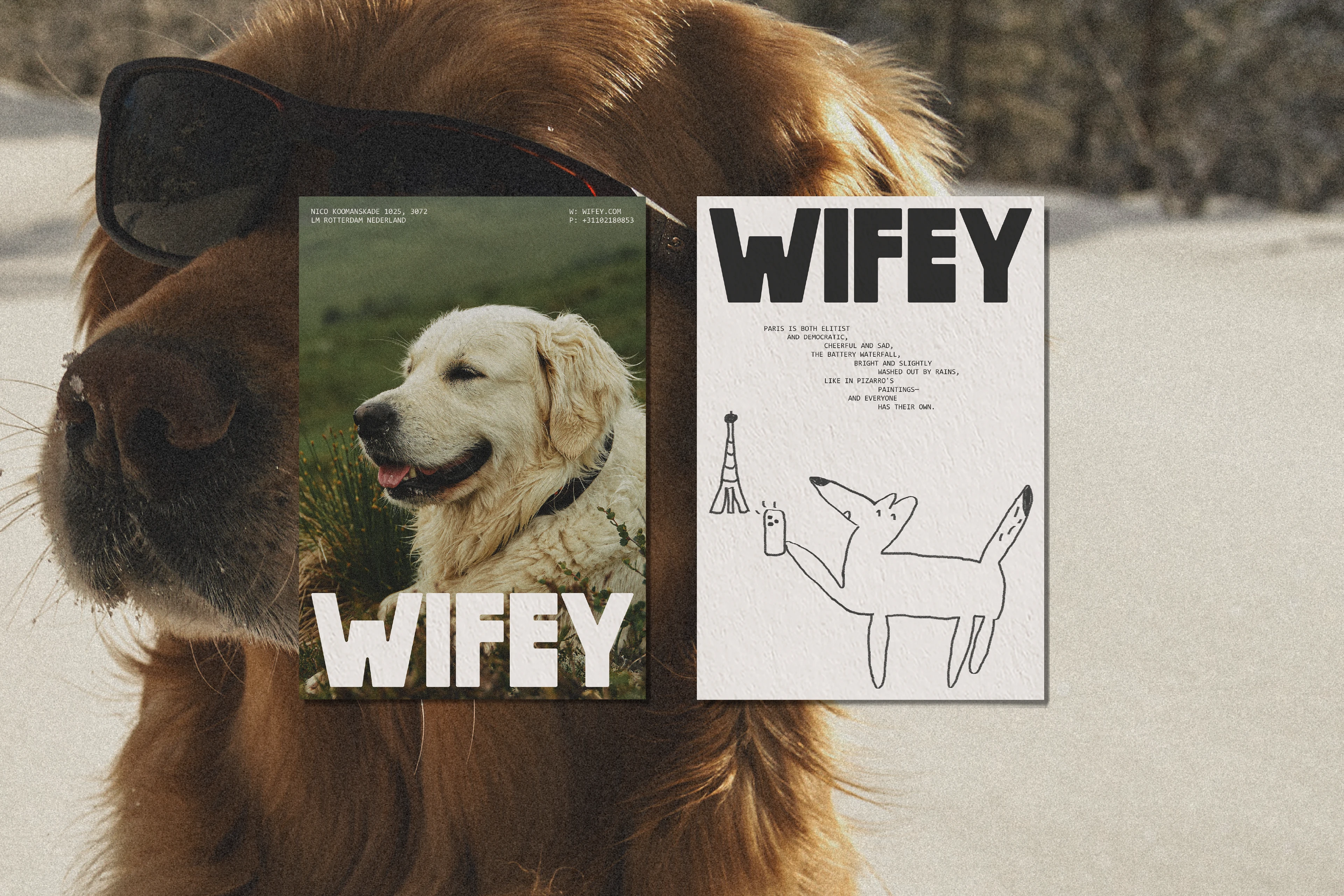 wifey / animal travel organization identity — Изображение №4 — Брендинг на Dprofile