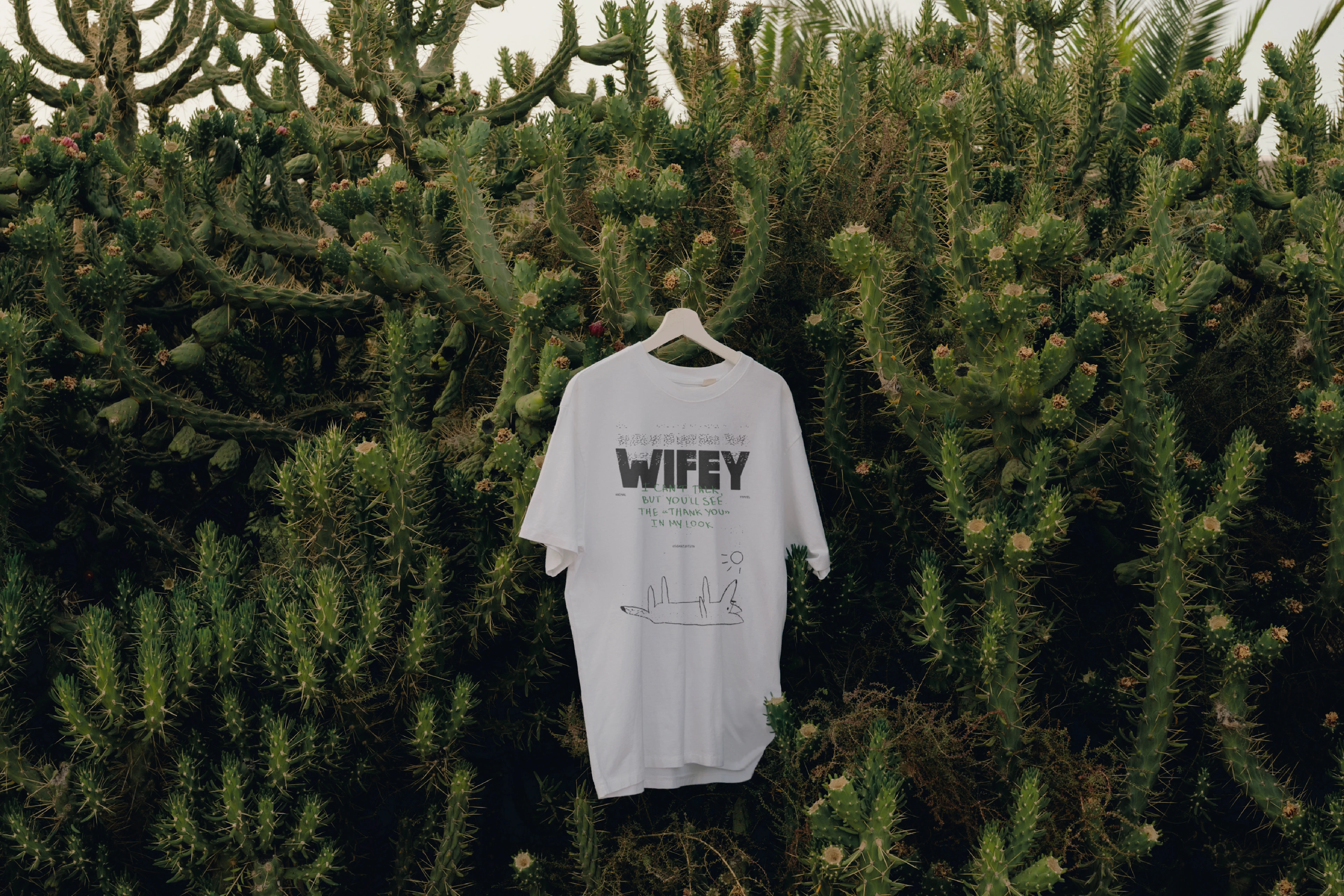 wifey / animal travel organization identity — Изображение №5 — Брендинг на Dprofile