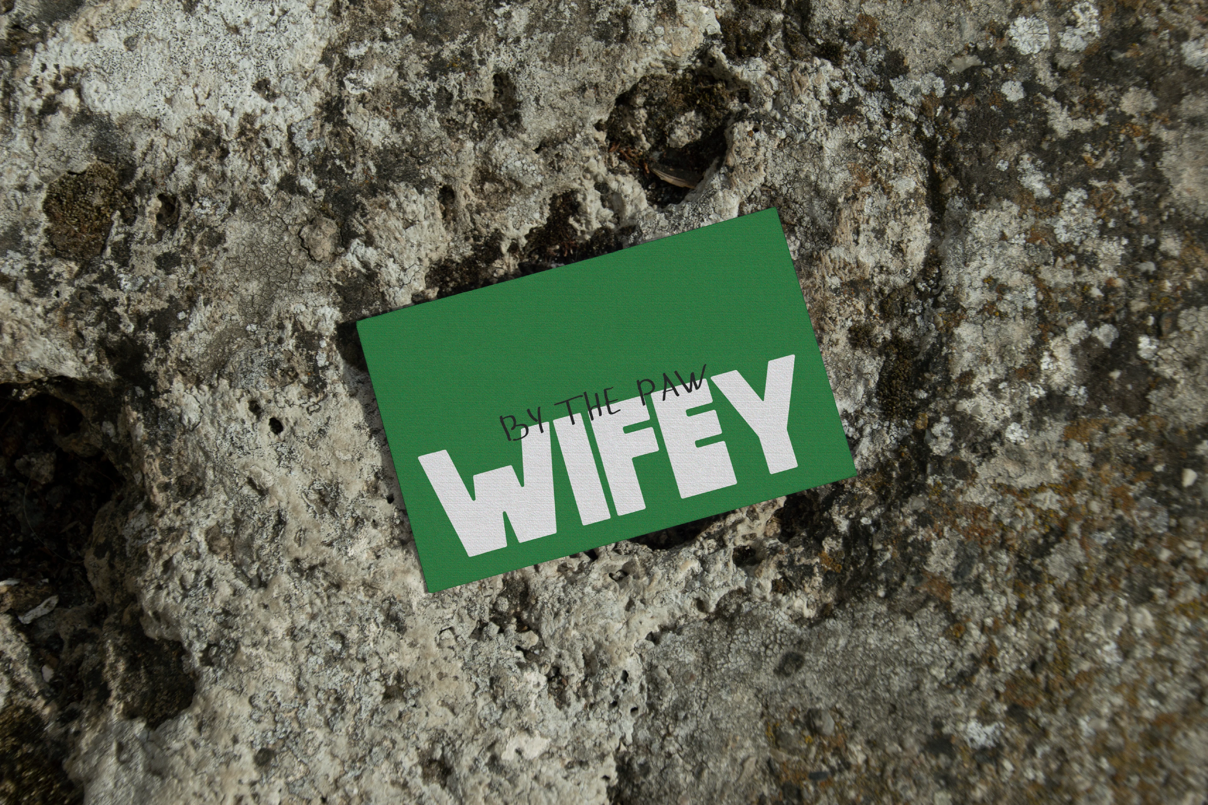 wifey / animal travel organization identity — Изображение №9 — Брендинг на Dprofile