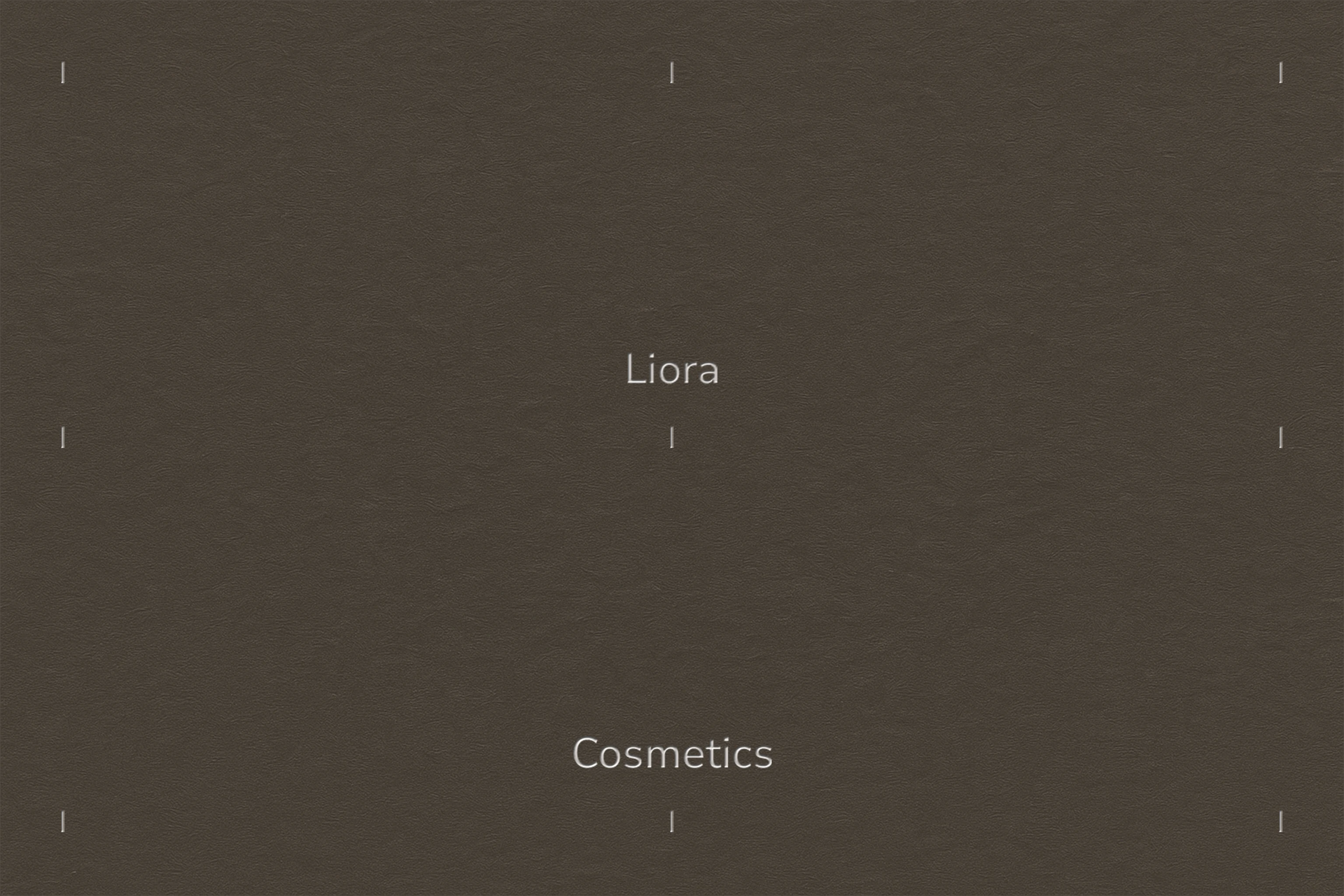 Liora | Brand Identity — Изображение №1 — Брендинг на Dprofile
