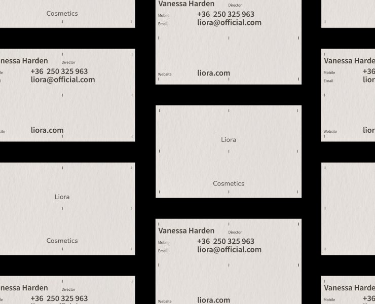 Liora | Brand Identity на Dprofile