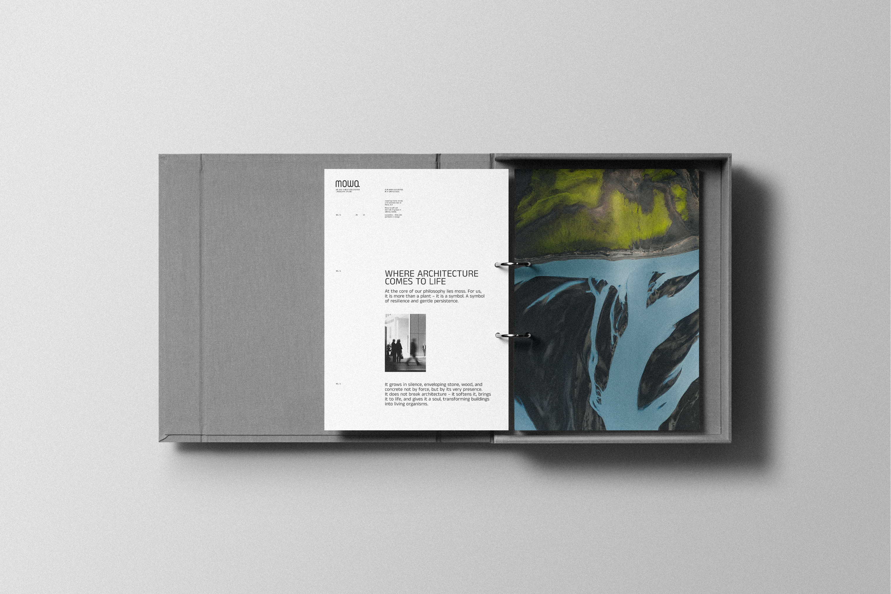 mowa — Изображение №2 — Брендинг на Dprofile