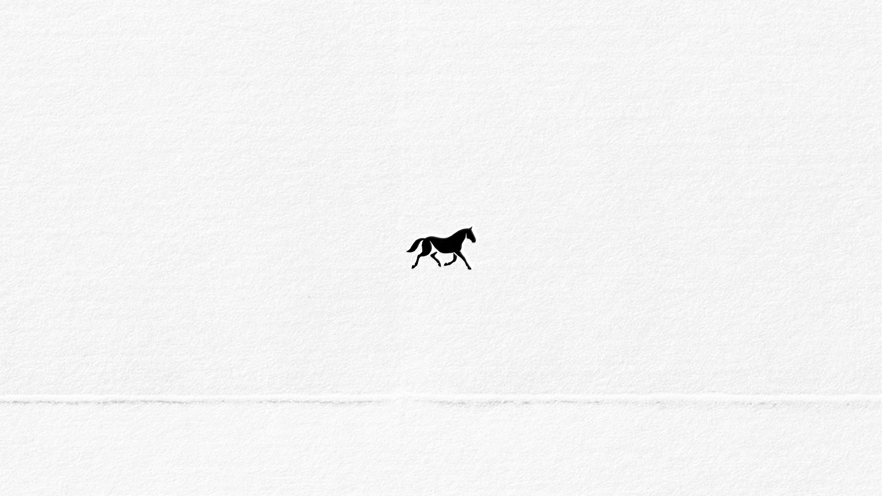 trot — Изображение №5 — Брендинг на Dprofile