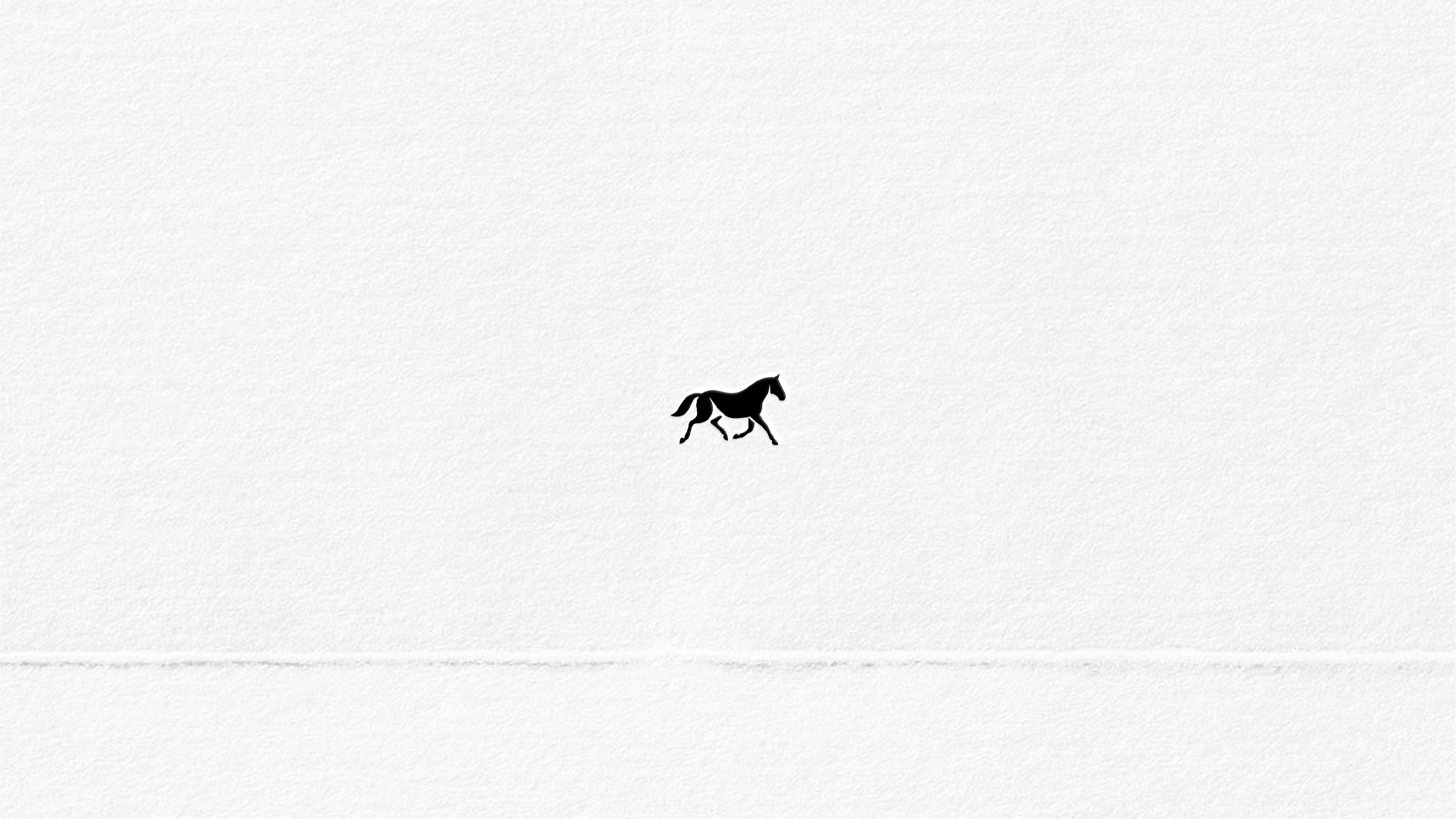 trot — Изображение №3 — Брендинг на Dprofile