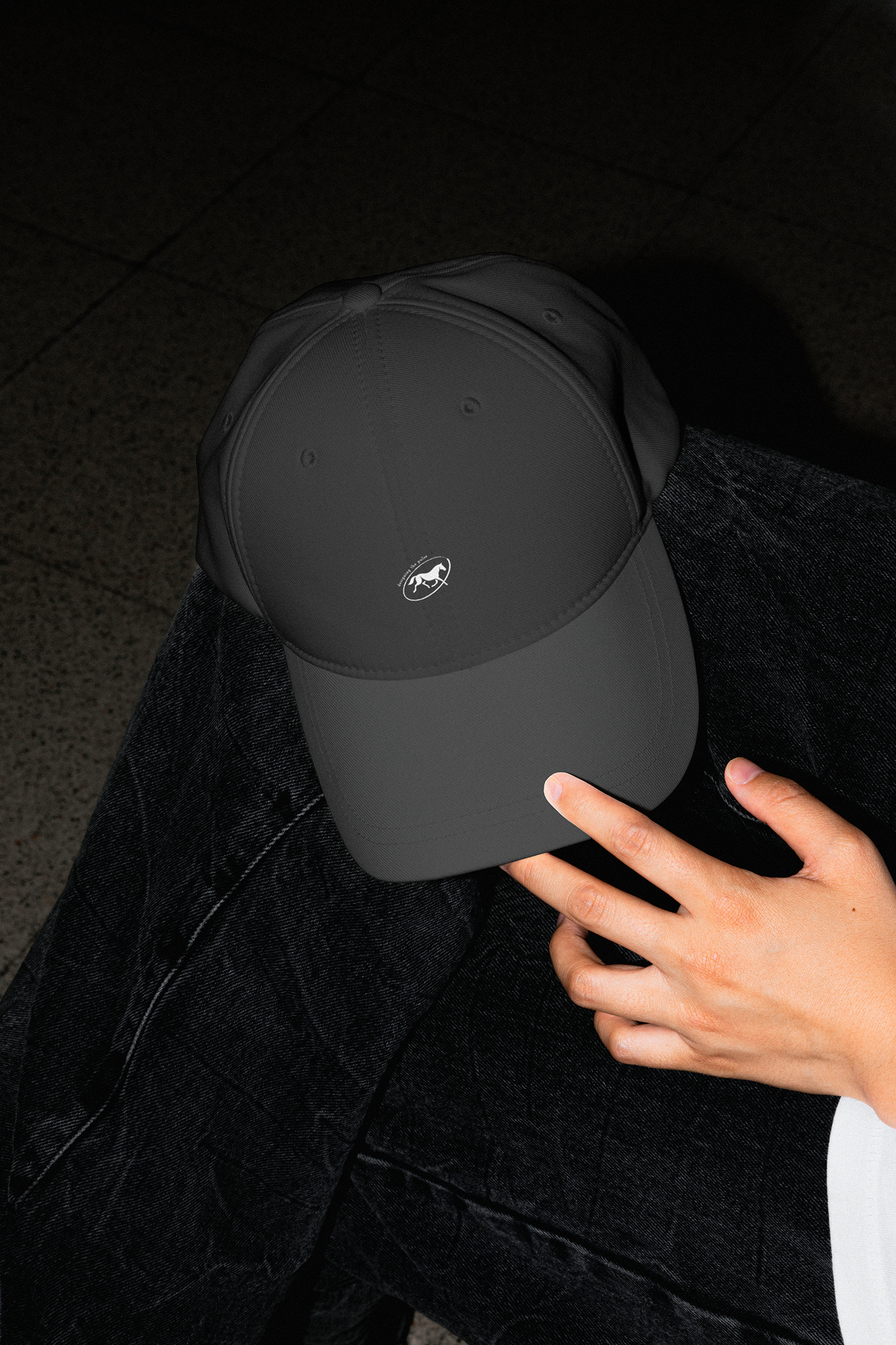 trot — Изображение №16 — Брендинг на Dprofile