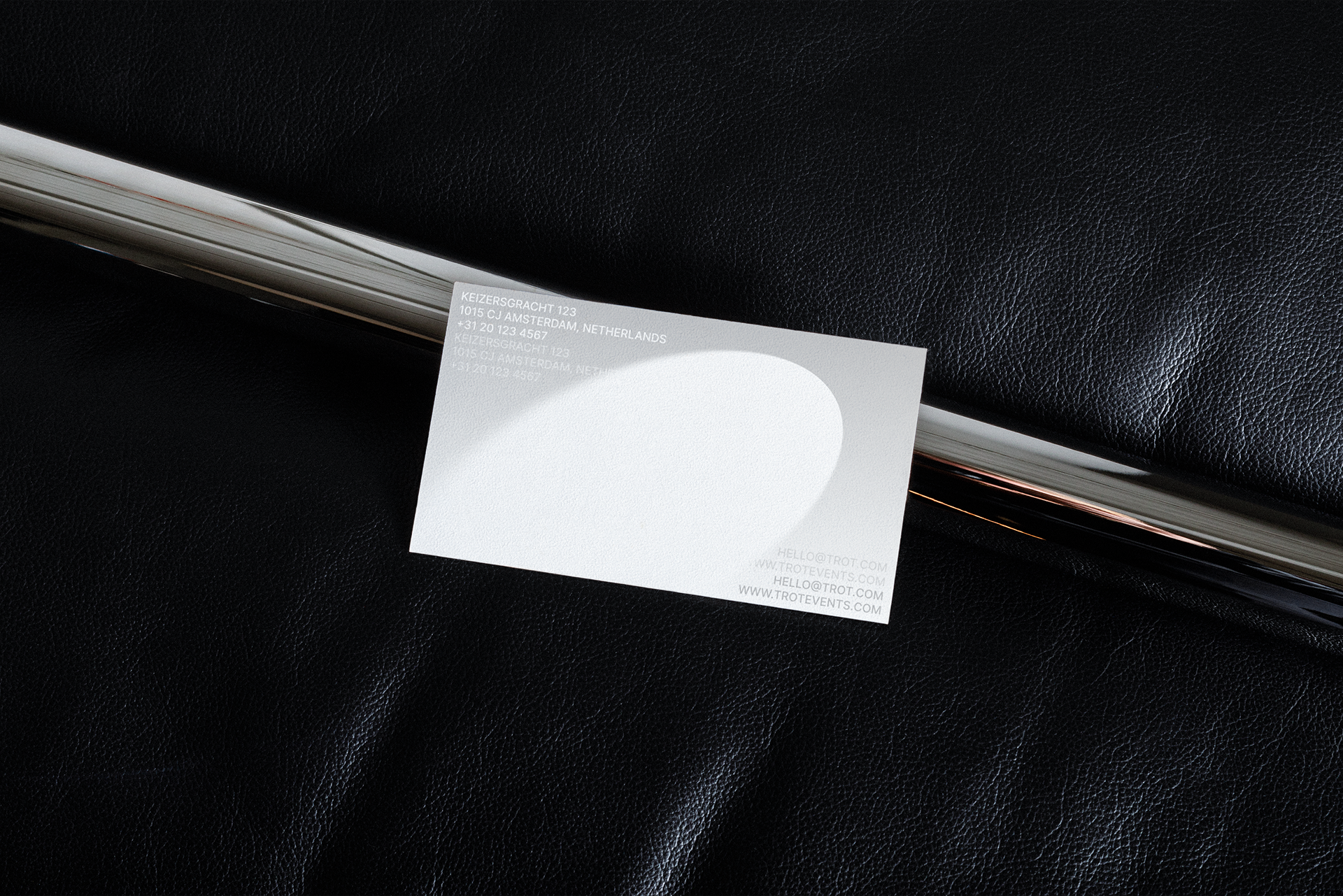 trot — Изображение №10 — Брендинг на Dprofile