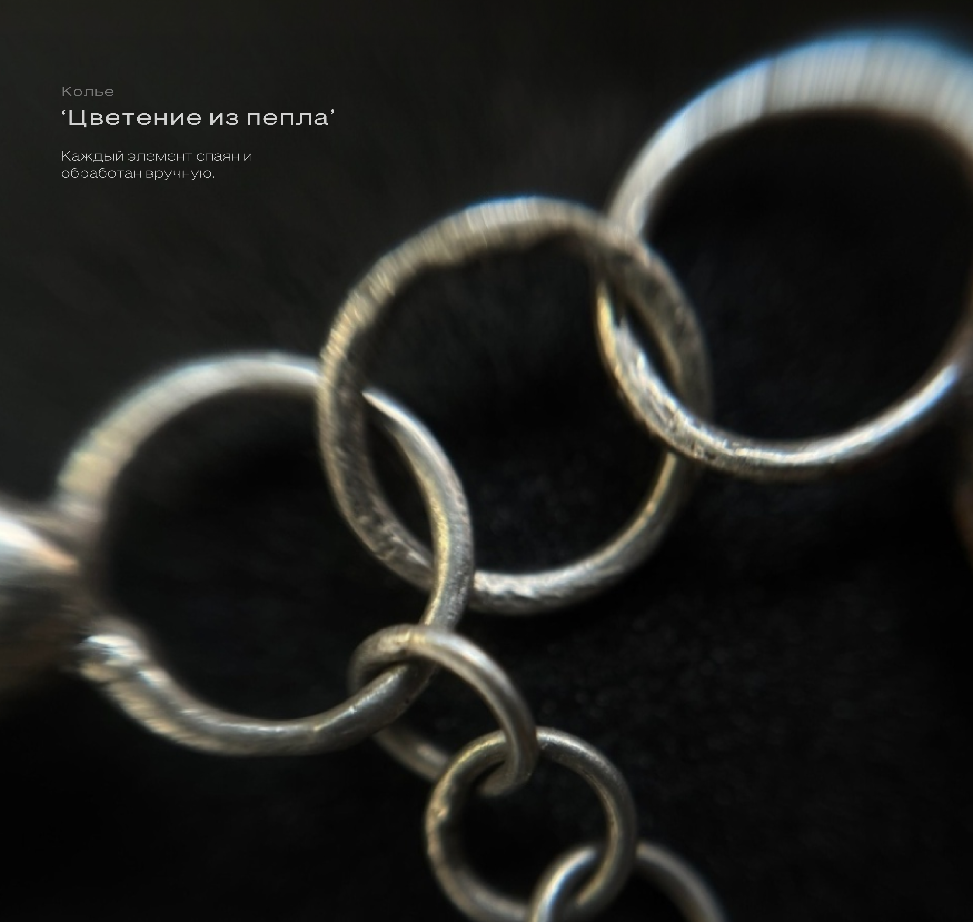 Цветение из пепла — Изображение №2 — Графика, Промдизайн на Dprofile