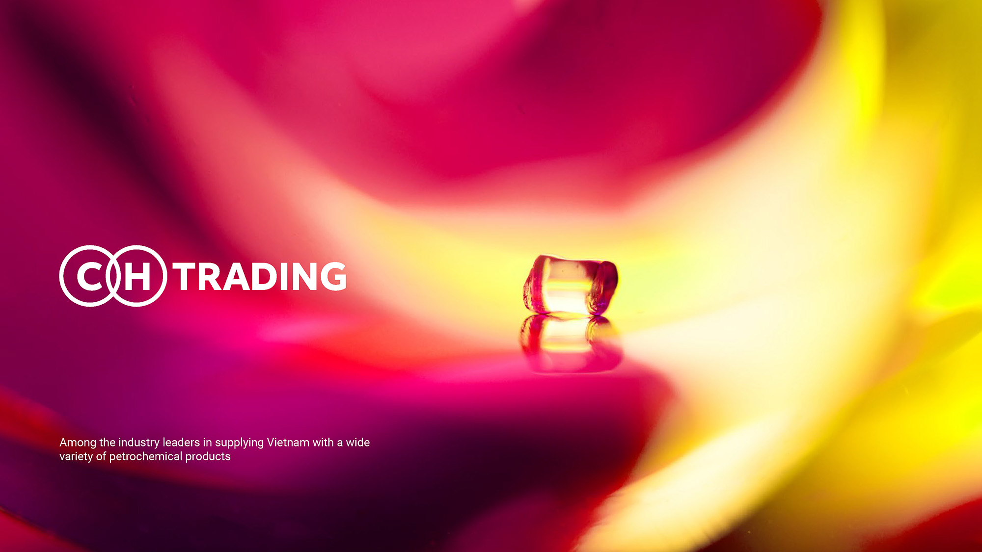 CH TRADING — Изображение №4 — Брендинг на Dprofile