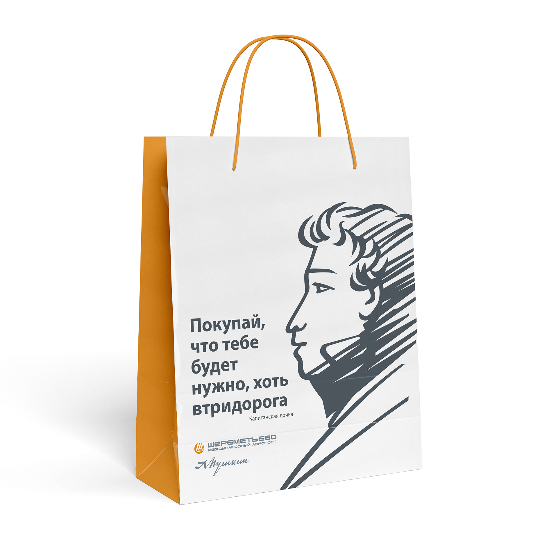 Пушкин в Шереметьево — Изображение №12 — Брендинг, Иллюстрация на Dprofile