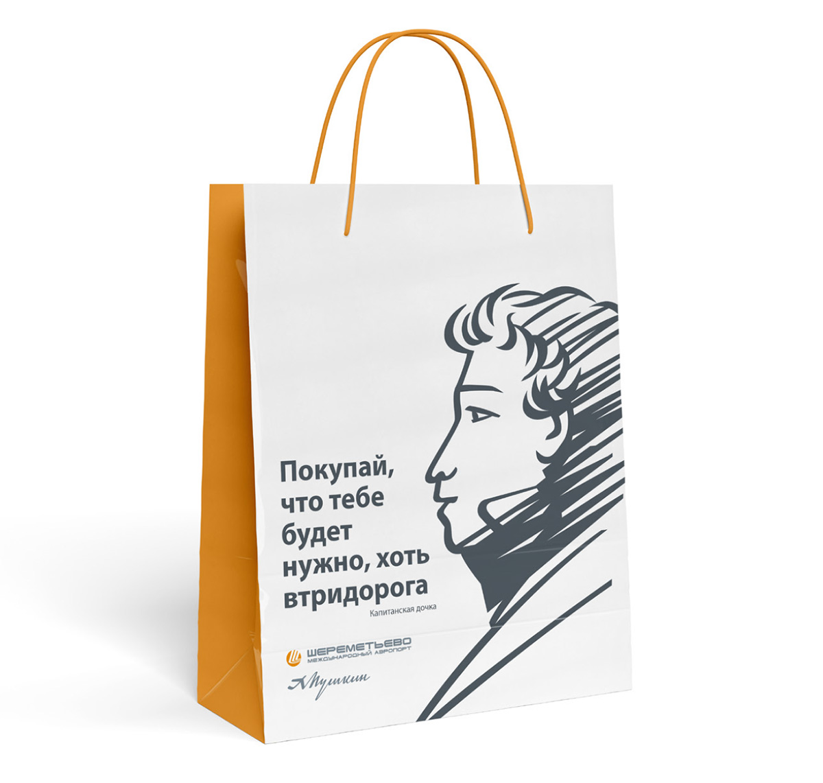 Пушкин в Шереметьево — Изображение №14 — Брендинг, Иллюстрация на Dprofile