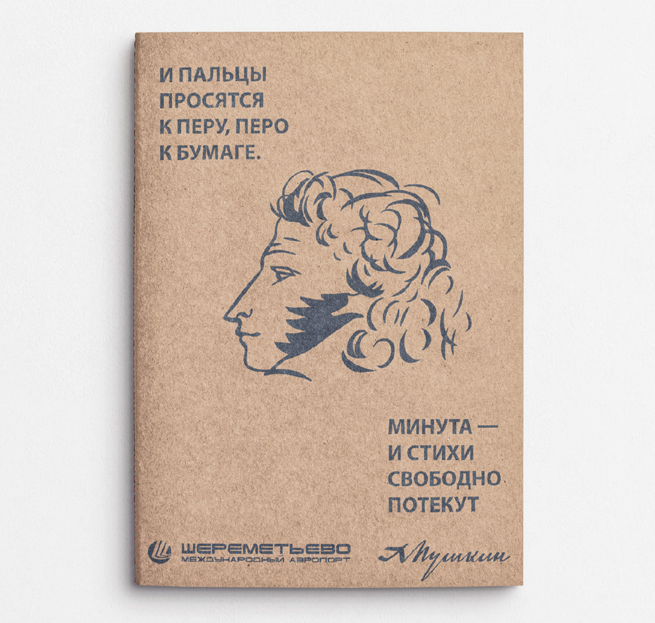 Пушкин в Шереметьево — Изображение №15 — Брендинг, Иллюстрация на Dprofile
