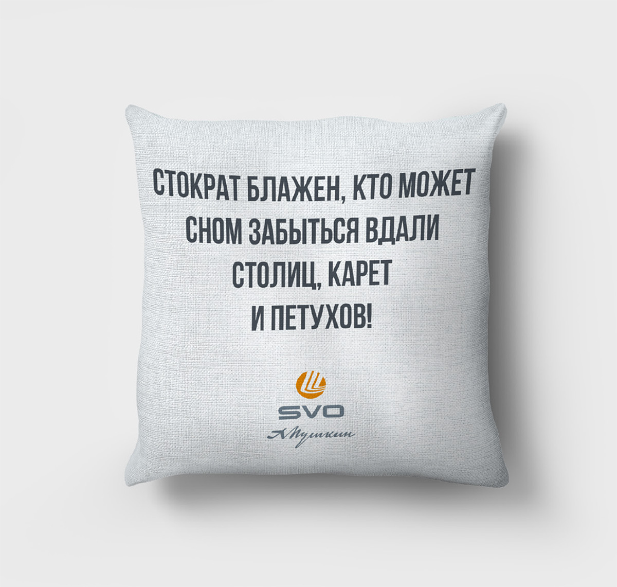 Пушкин в Шереметьево — Изображение №13 — Брендинг, Иллюстрация на Dprofile