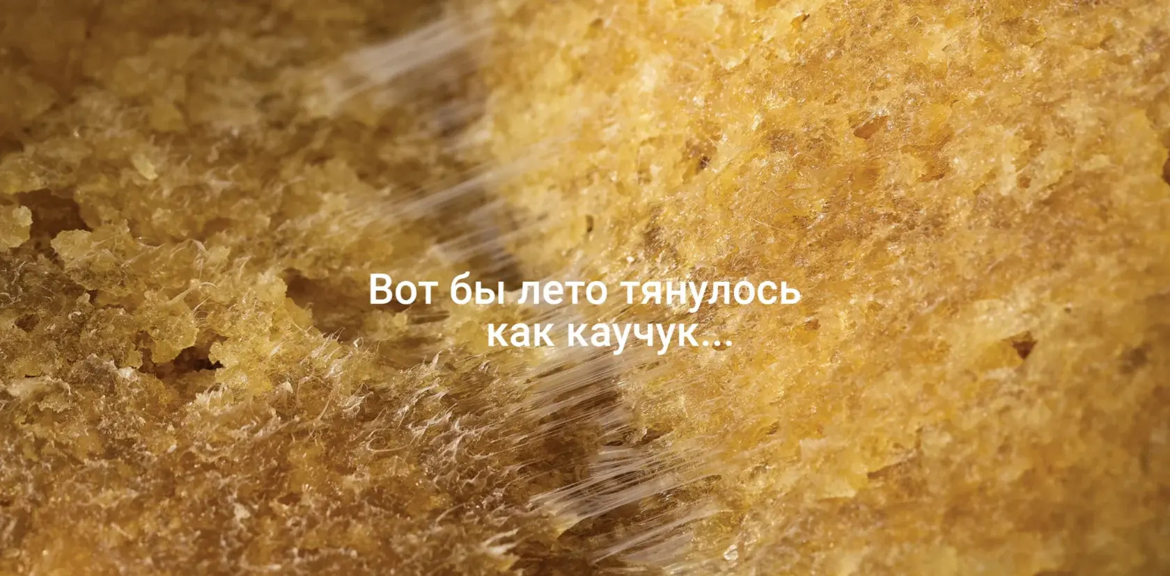 Календарь СИБУР-2024 — Изображение №3 — Брендинг на Dprofile