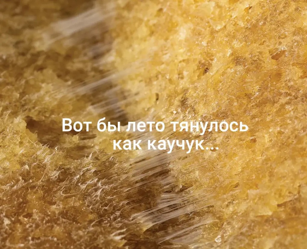 Календарь СИБУР-2024 на Dprofile