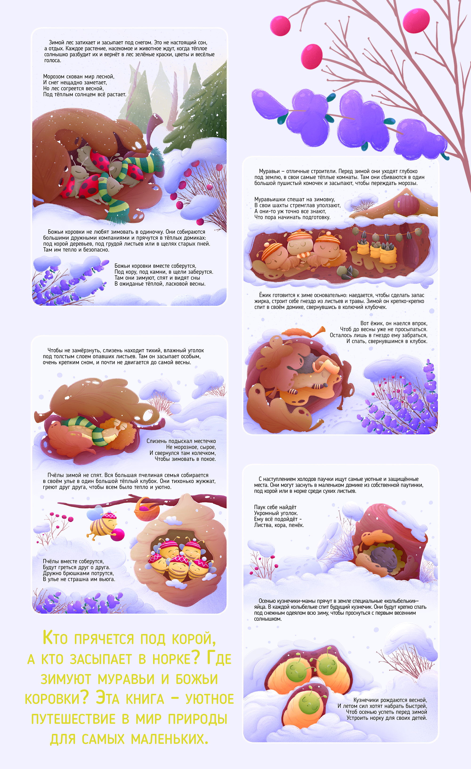 Детская электронная книга про насекомых — Изображение №4 — Иллюстрация, Графика на Dprofile