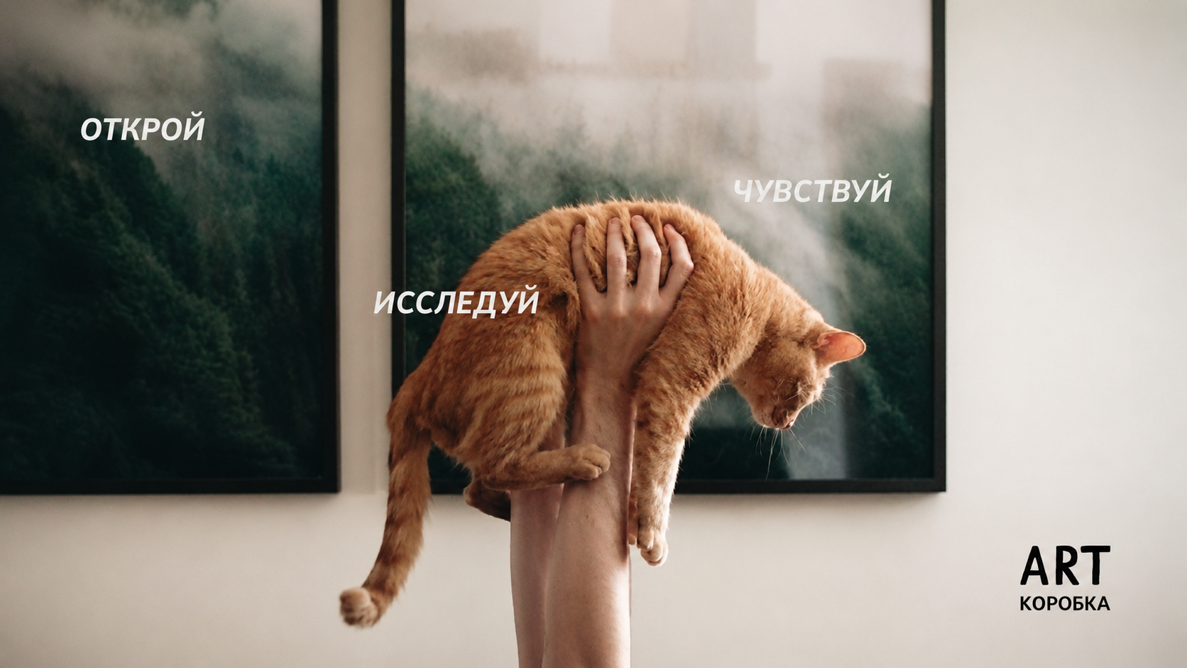 Art Museum | Brand Identity — Изображение №1 — Брендинг на Dprofile