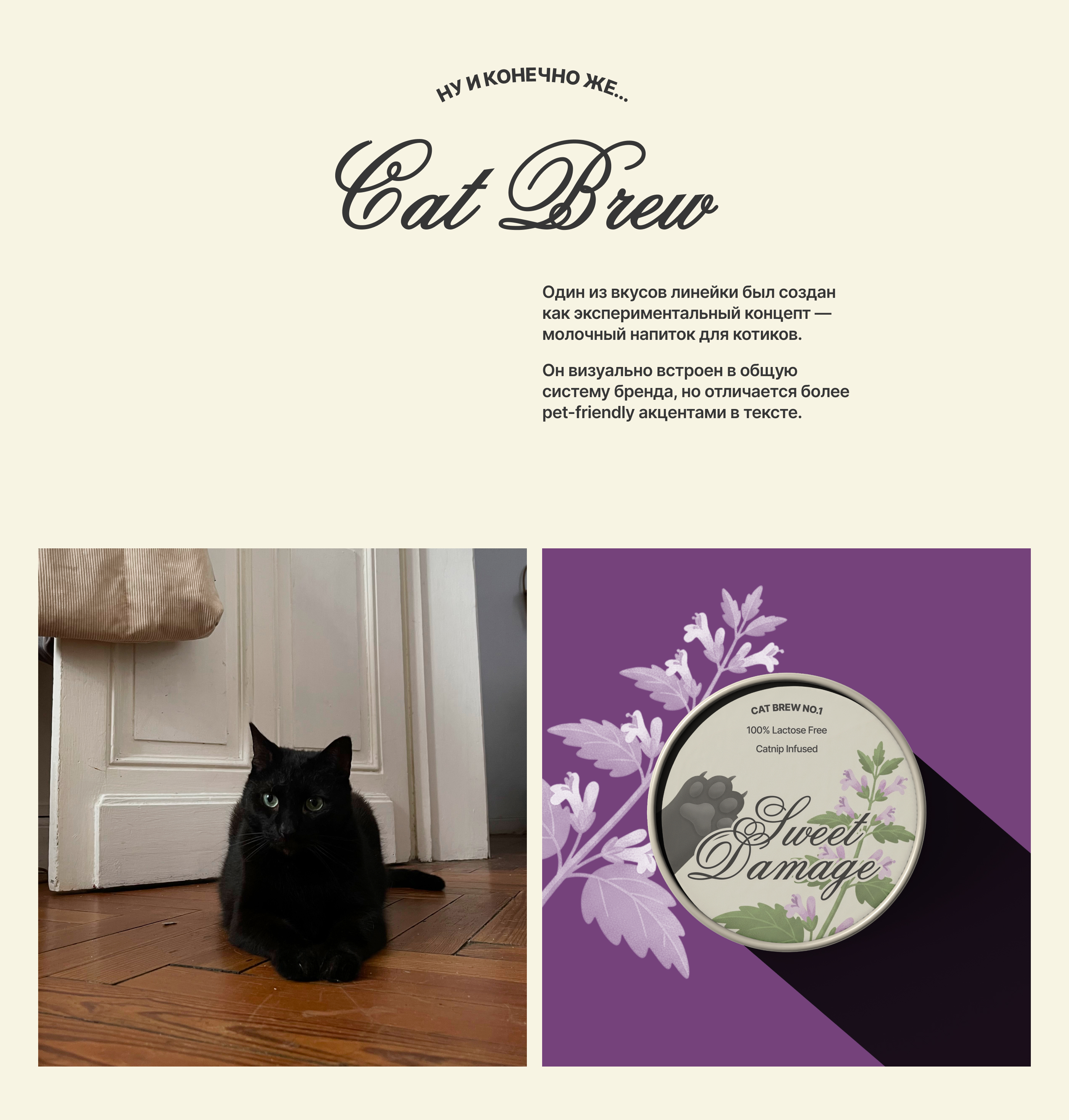 sweet damage — брендинг напитков — Изображение №15 — Брендинг на Dprofile