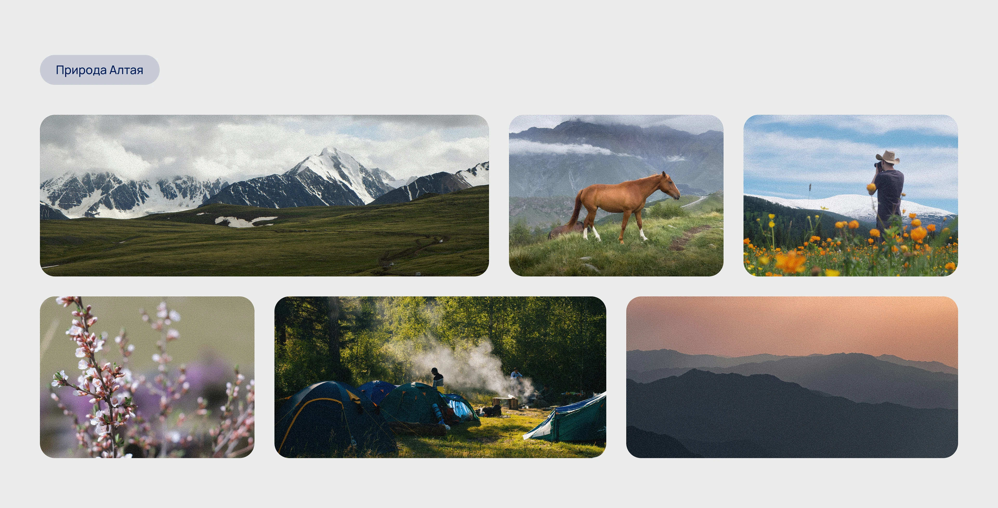 Официальный туристический портал Республики Алтай — Изображение №4 — Интерфейсы, Брендинг на Dprofile
