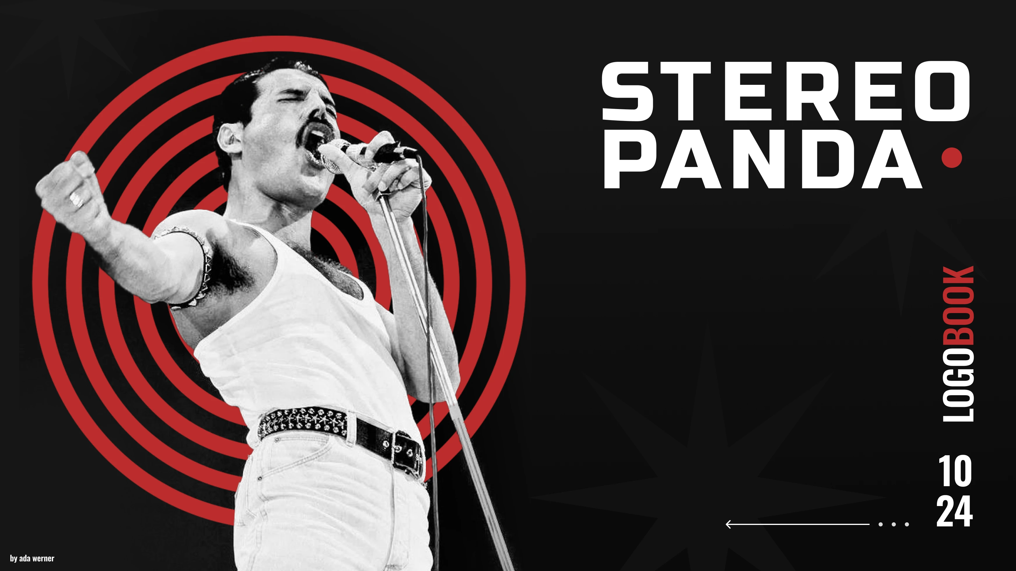 STEREO PANDA | logobook — Изображение №1 — Брендинг на Dprofile