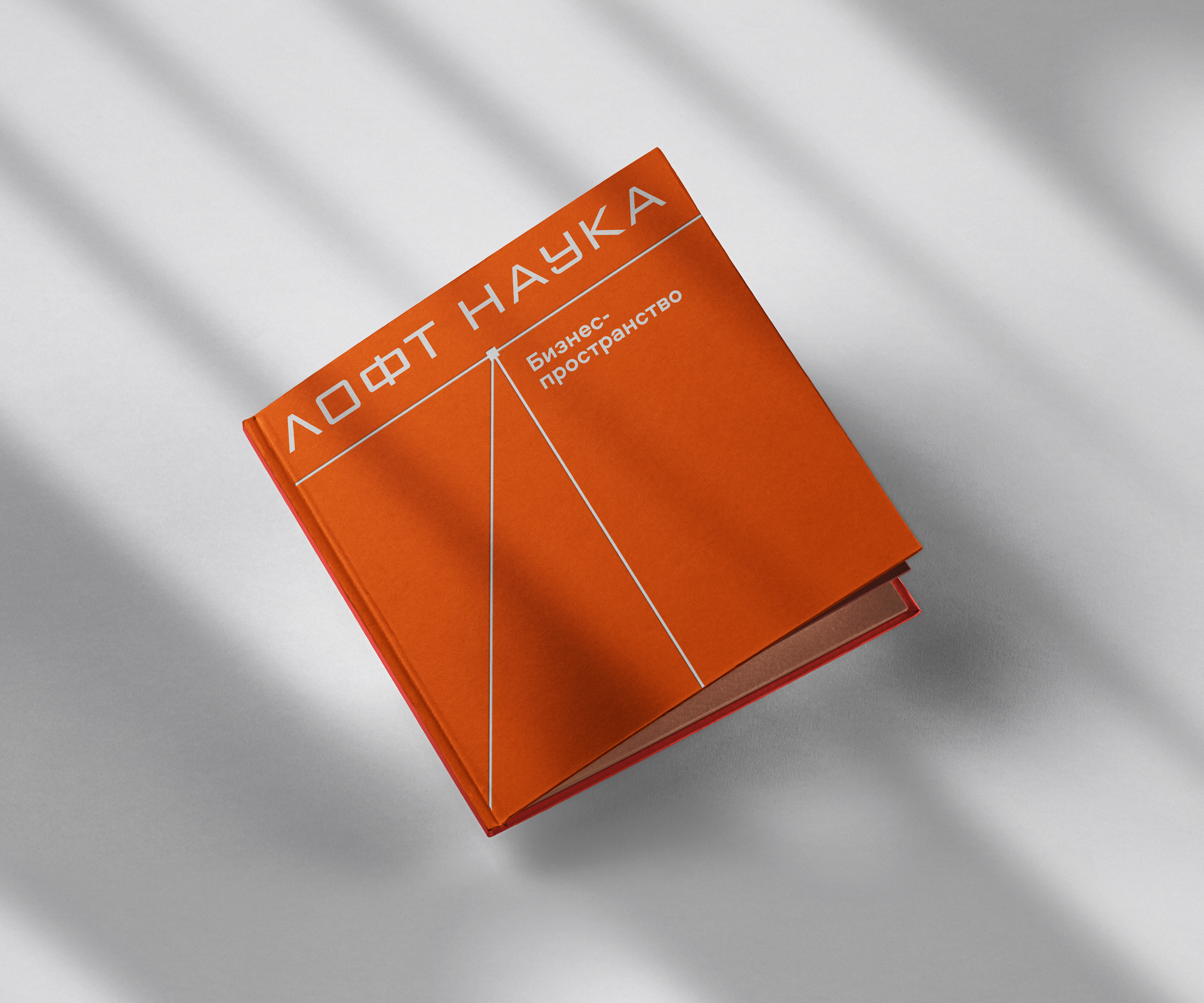 Бизнес-пространство ЛОФТ НАУКА — Изображение №17 — Брендинг на Dprofile