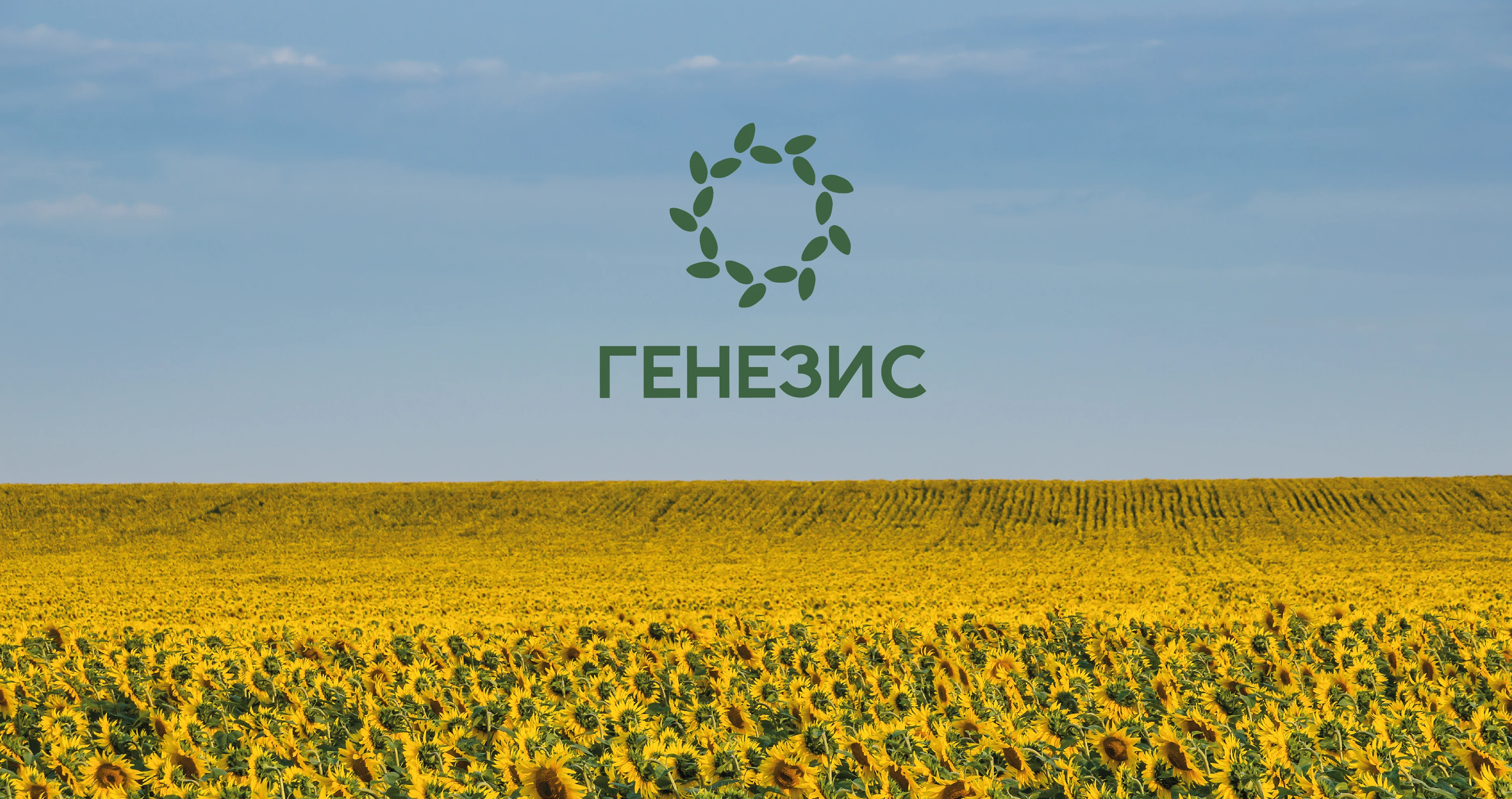 Дизайн выставочной палатки для мероприятия «День поля» — Изображение №2 — Брендинг, Графика на Dprofile