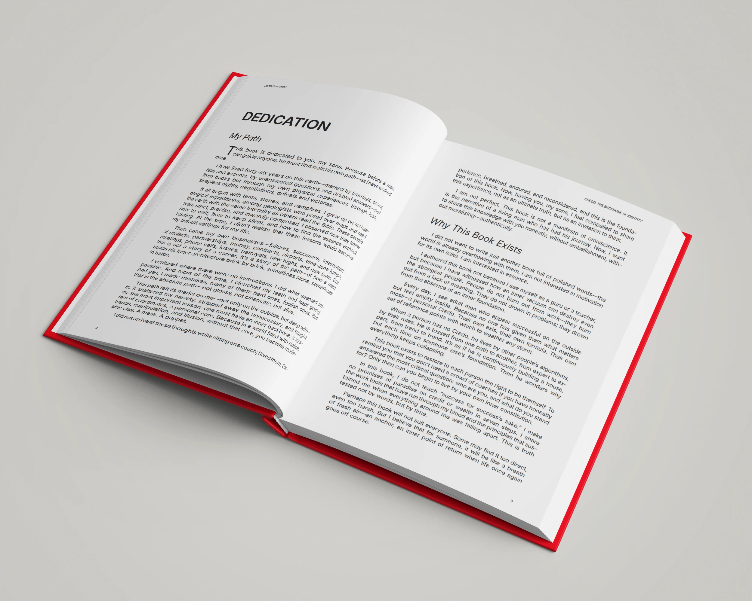 Дизайн и вёрстка книги — Изображение №5 — Брендинг, Графика на Dprofile