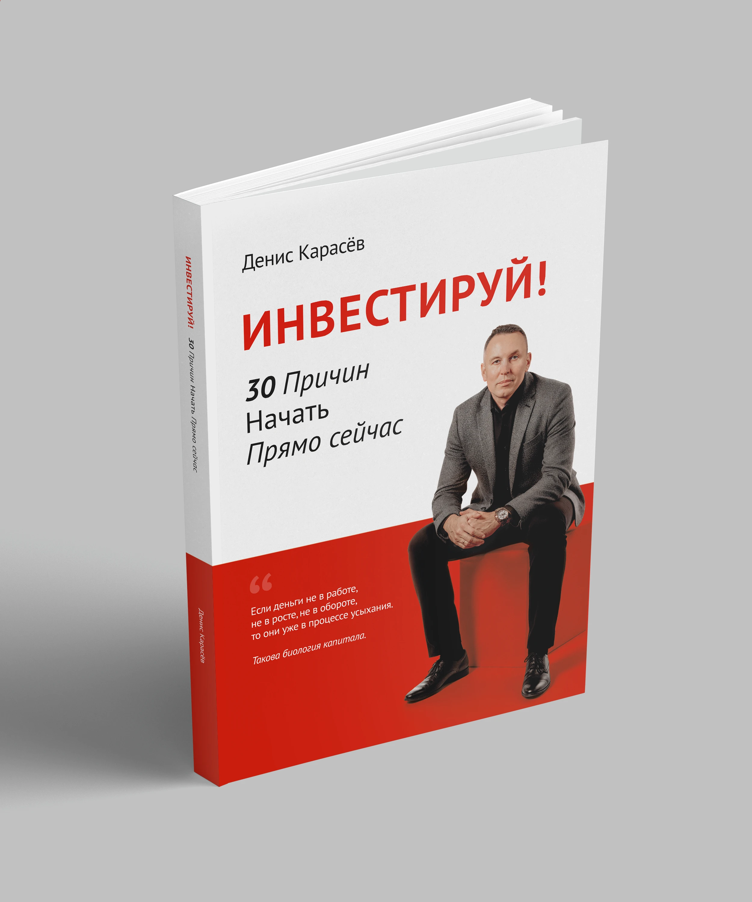 Дизайн обложки и вёрстка книги — Изображение №5 — Брендинг на Dprofile