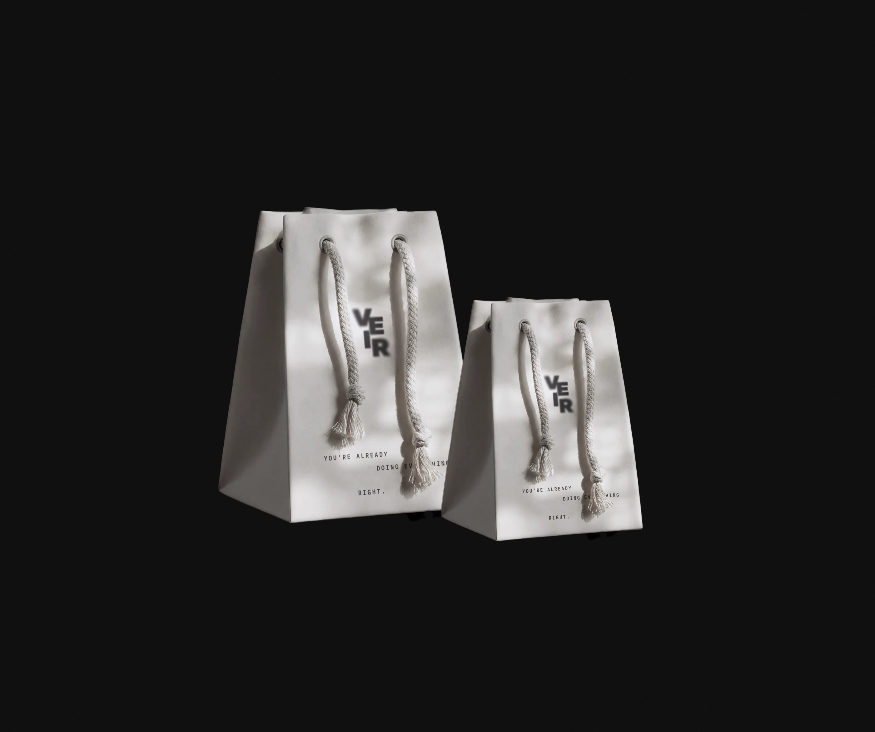 Логотип | Фирменный стиль | Айдентика бренда сумок одежды — Изображение №13 — Брендинг, Графика на Dprofile