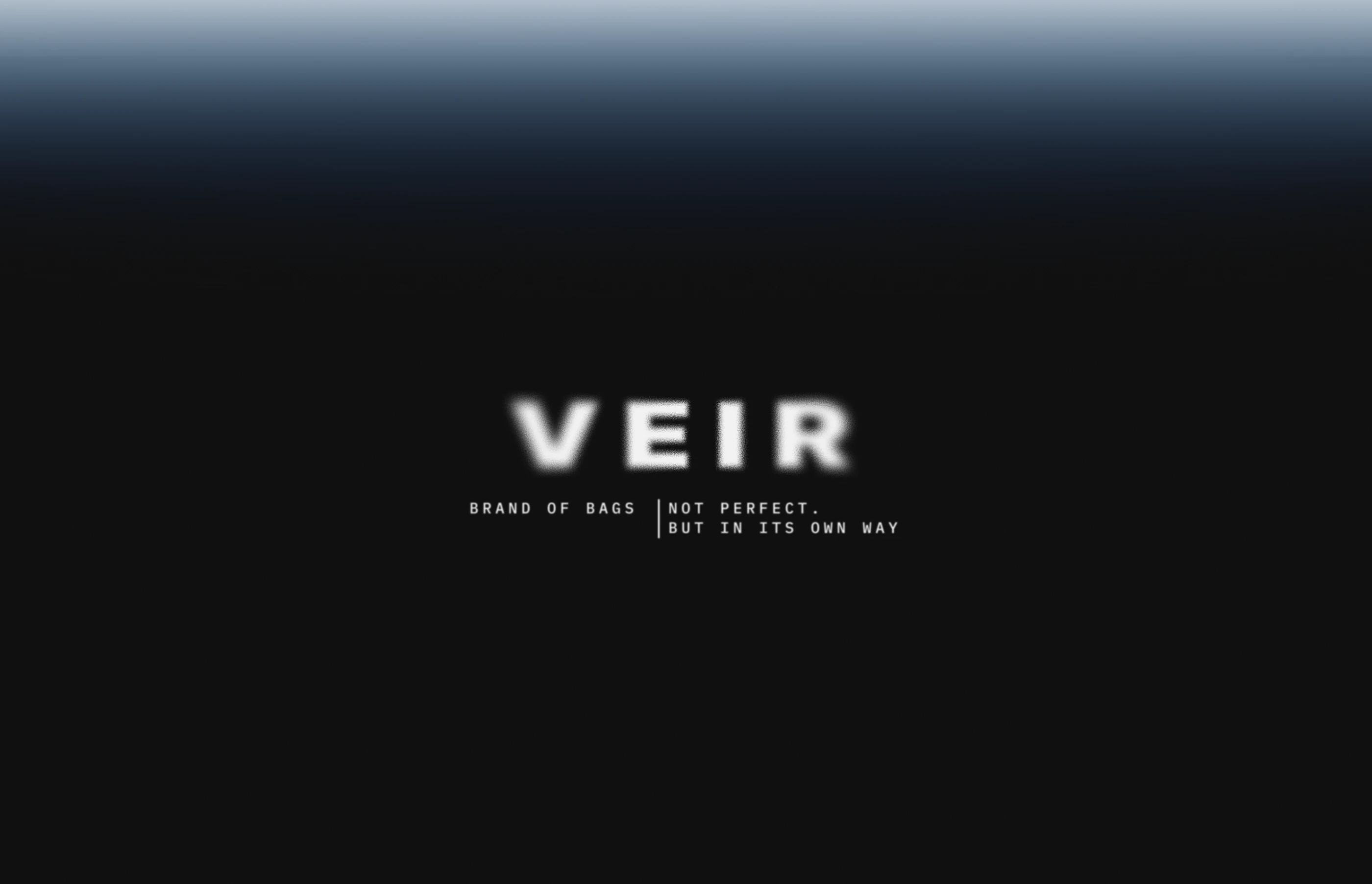 Логотип | Фирменный стиль | Айдентика бренда сумок одежды — Изображение №10 — Брендинг, Графика на Dprofile