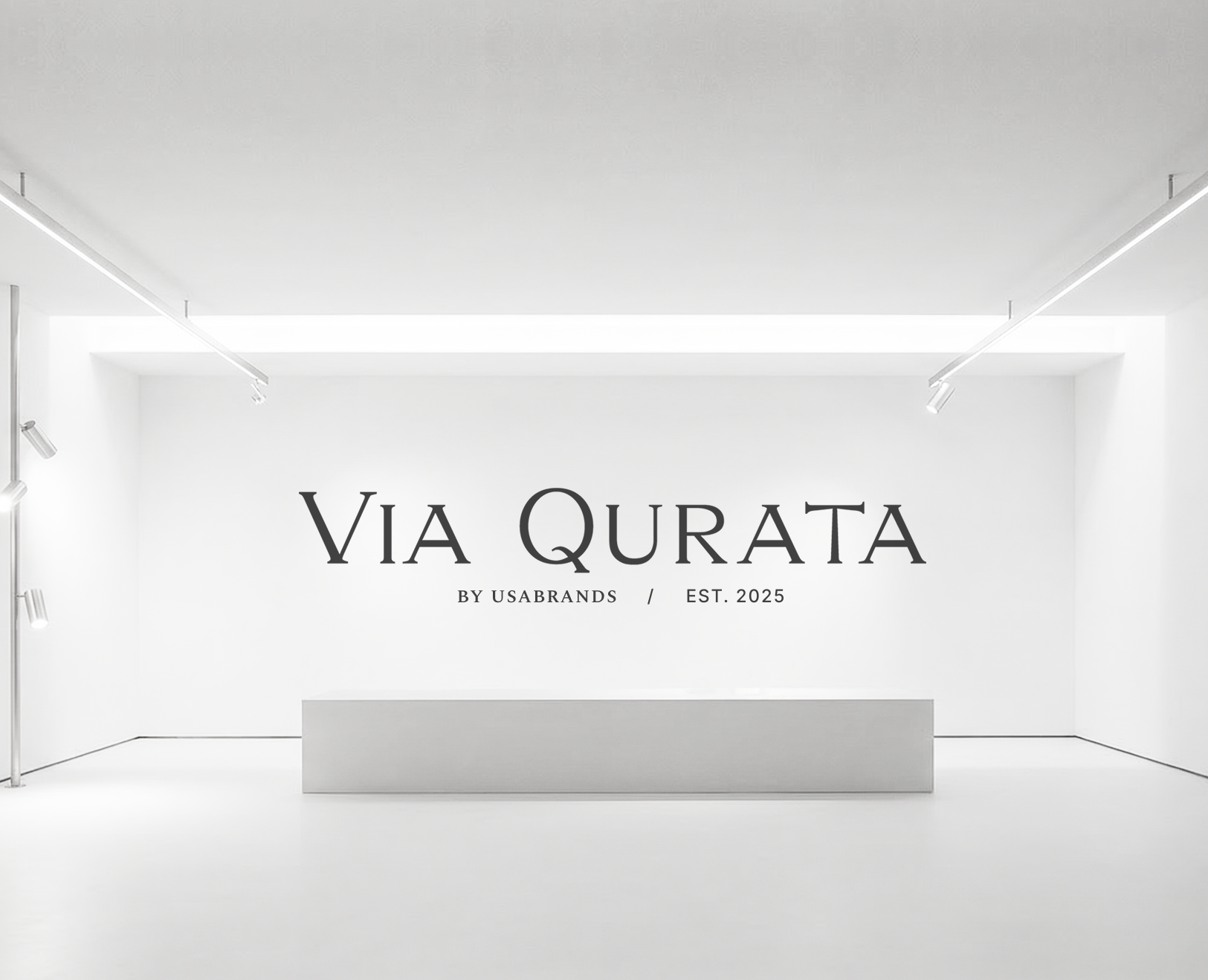 Айдентика Фирменный стиль Логотип бренда одежды на Dprofile