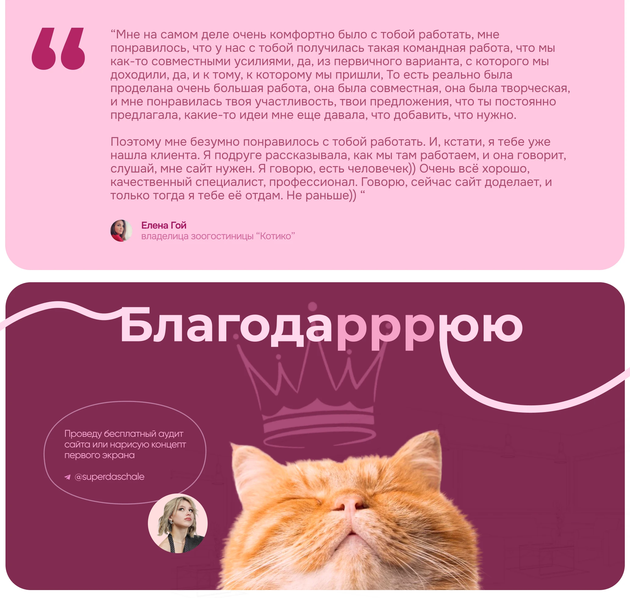 Сайт для зоогостиницы “Котико” | UX/UI — Изображение №4 — Интерфейсы, Брендинг на Dprofile