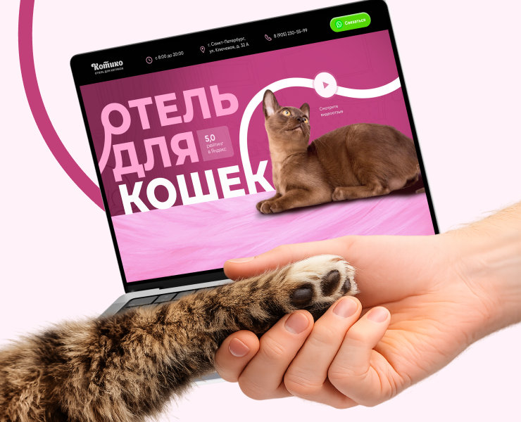 Сайт для зоогостиницы “Котико” | UX/UI — Интерфейсы, Брендинг на Dprofile