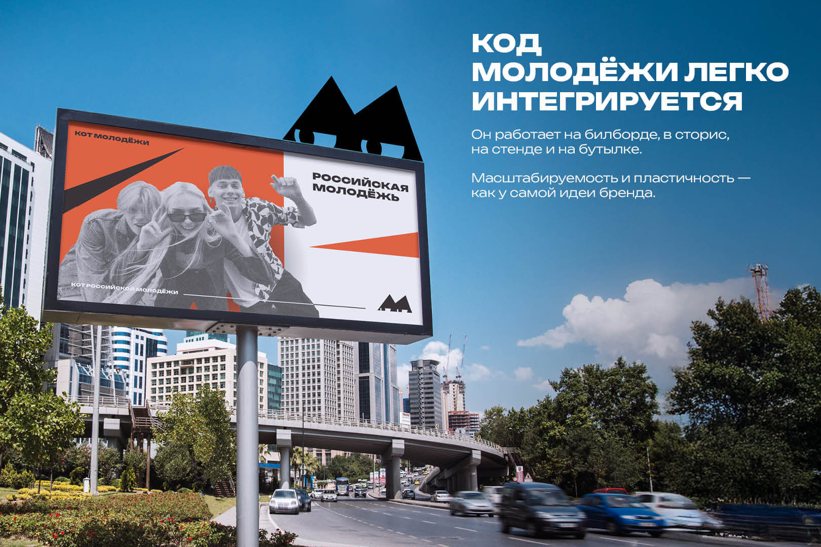 «Кот молодёжи» для проекта «Код молодёжи» — Изображение №11 — Брендинг, Иллюстрация на Dprofile