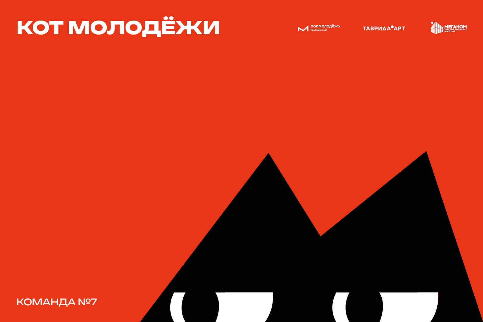 «Кот молодёжи» для проекта «Код молодёжи» — Изображение №4 — Брендинг, Иллюстрация на Dprofile