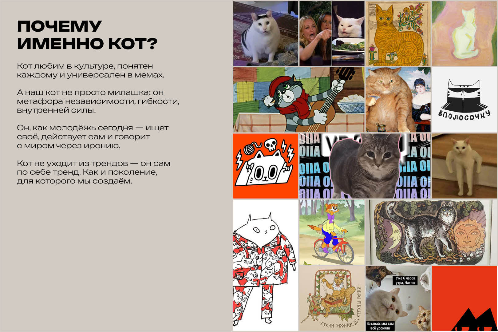 «Кот молодёжи» для проекта «Код молодёжи» — Изображение №6 — Брендинг, Иллюстрация на Dprofile