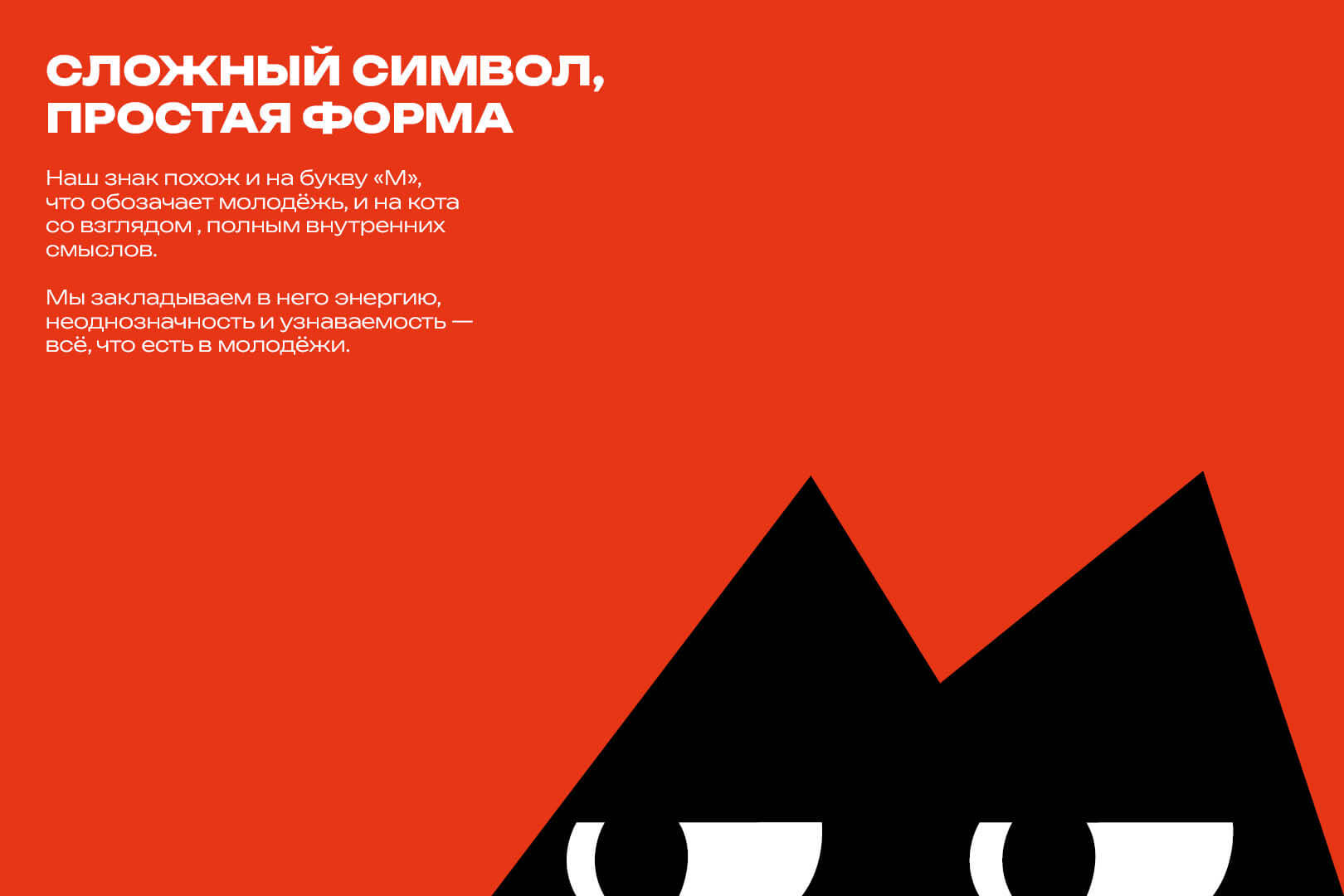 «Кот молодёжи» для проекта «Код молодёжи» — Изображение №8 — Брендинг, Иллюстрация на Dprofile