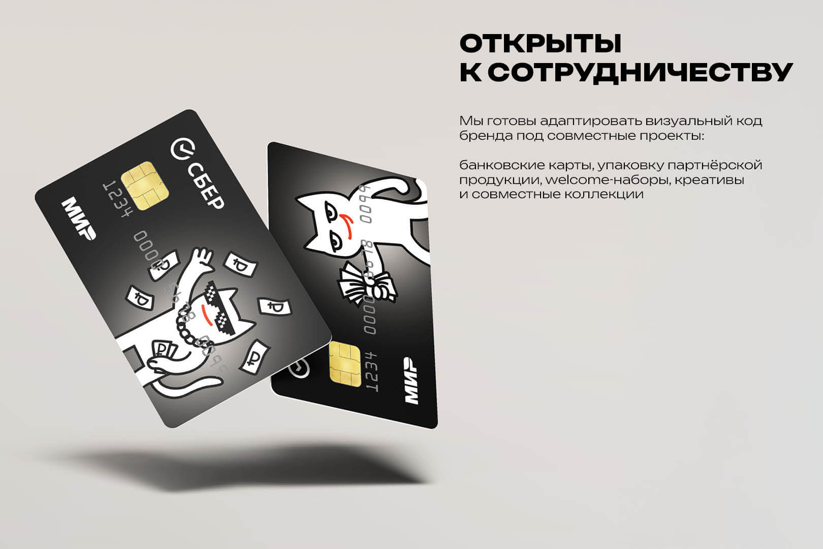 «Кот молодёжи» для проекта «Код молодёжи» — Изображение №24 — Брендинг, Иллюстрация на Dprofile