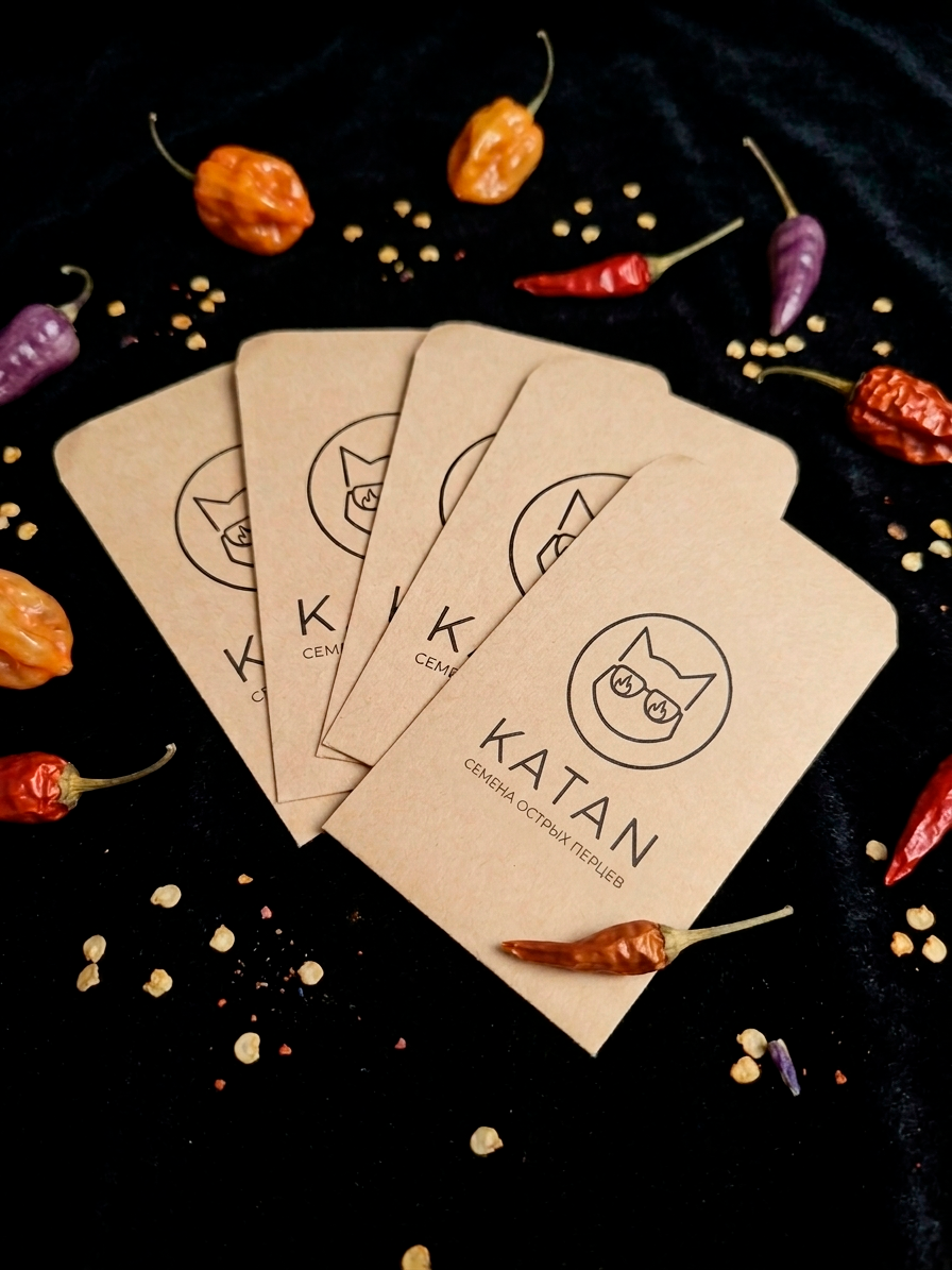 Katan — Изображение №10 — Брендинг на Dprofile