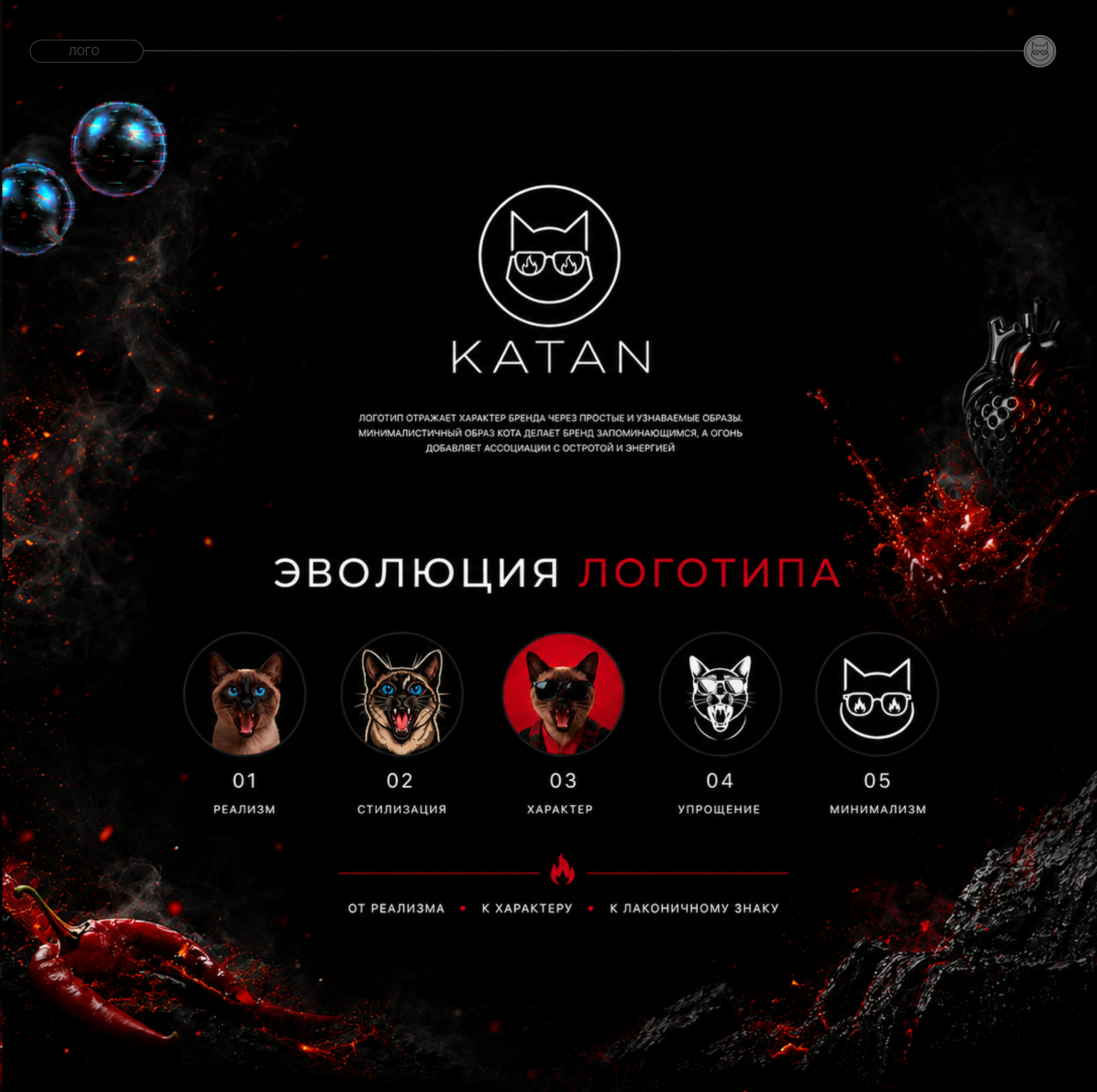 Katan — Изображение №3 — Брендинг на Dprofile