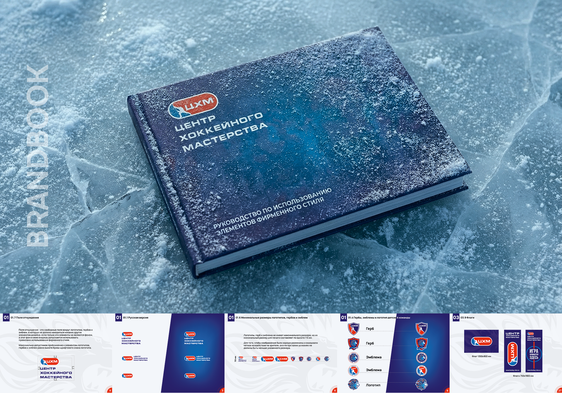 Комплексный редизайн Центра хоккейного мастерства — Изображение №11 — Интерфейсы на Dprofile