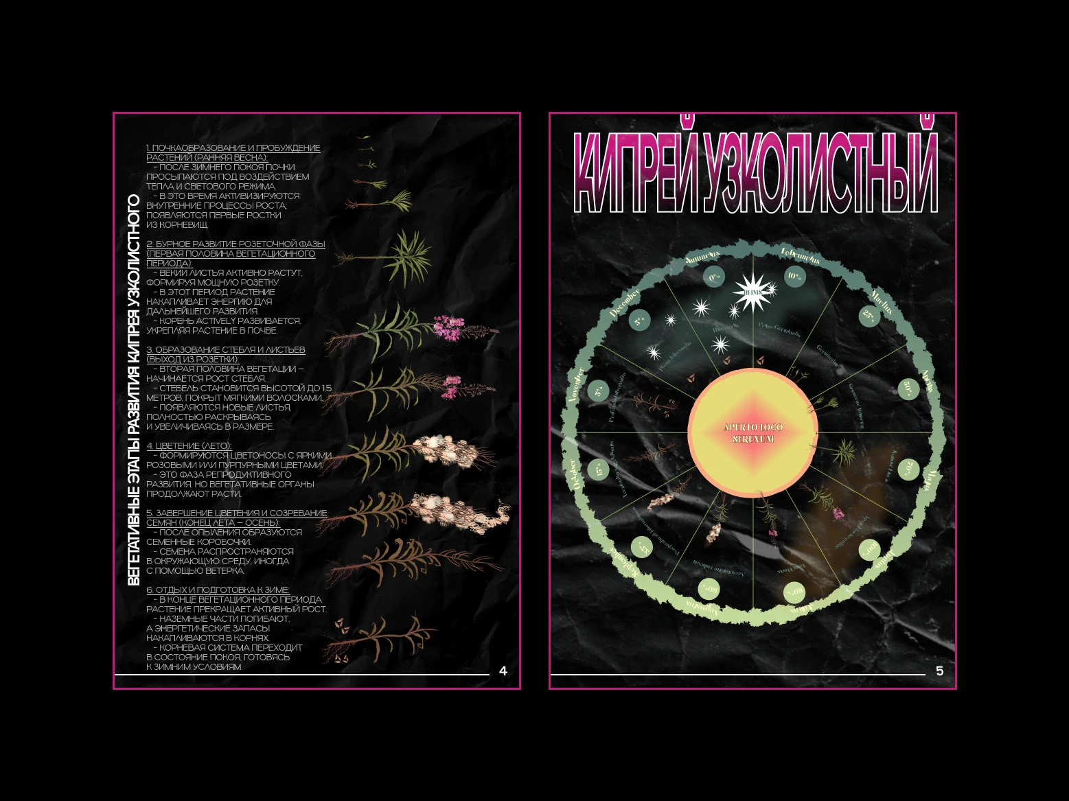 вёрстка зина — Изображение №4 — Иллюстрация, Графика на Dprofile