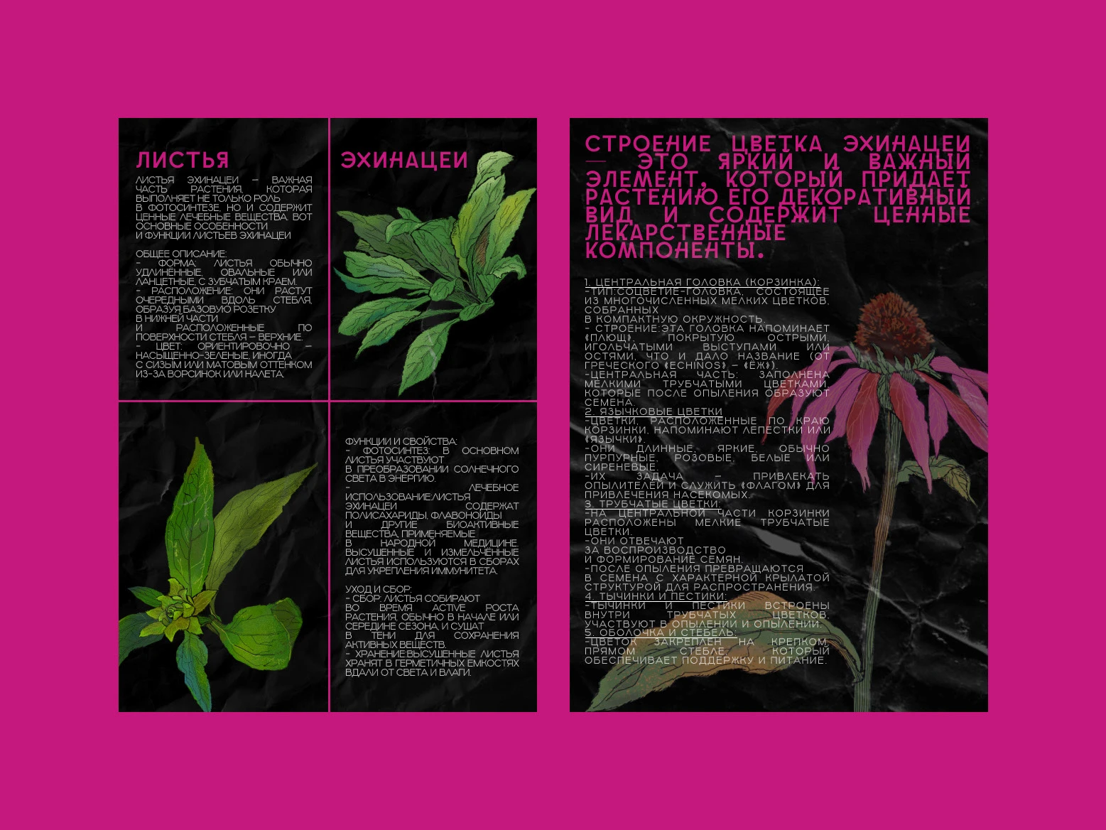 вёрстка зина — Изображение №9 — Иллюстрация, Графика на Dprofile