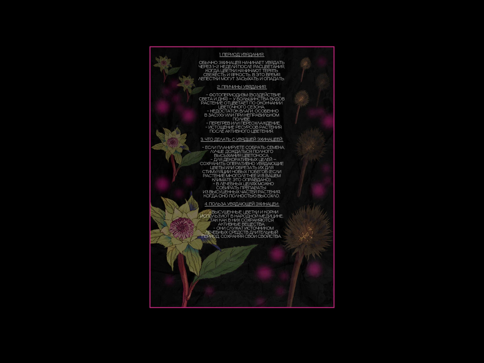 вёрстка зина — Изображение №8 — Иллюстрация, Графика на Dprofile