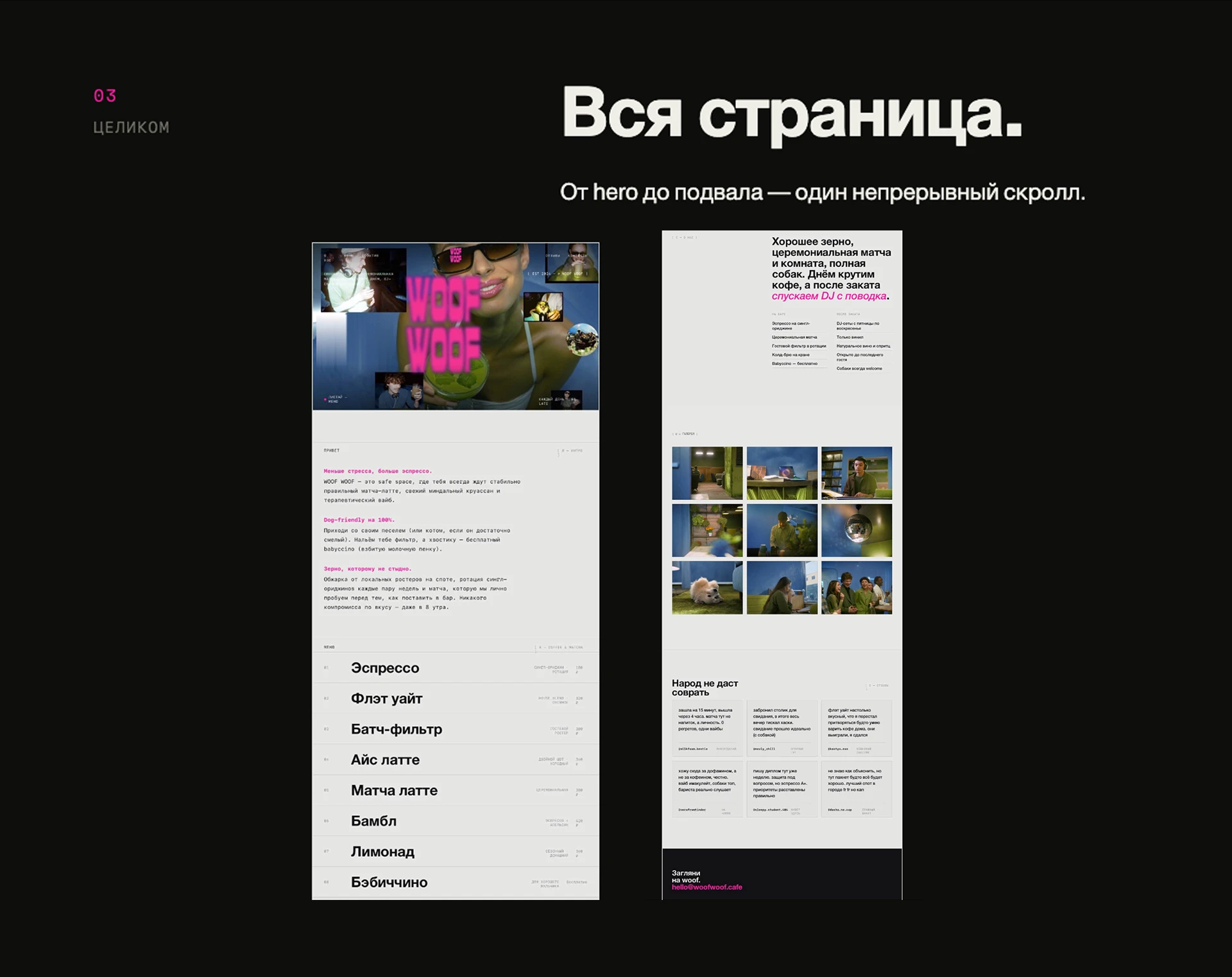 лэндинг гав гав — Изображение №10 — Интерфейсы, Брендинг на Dprofile