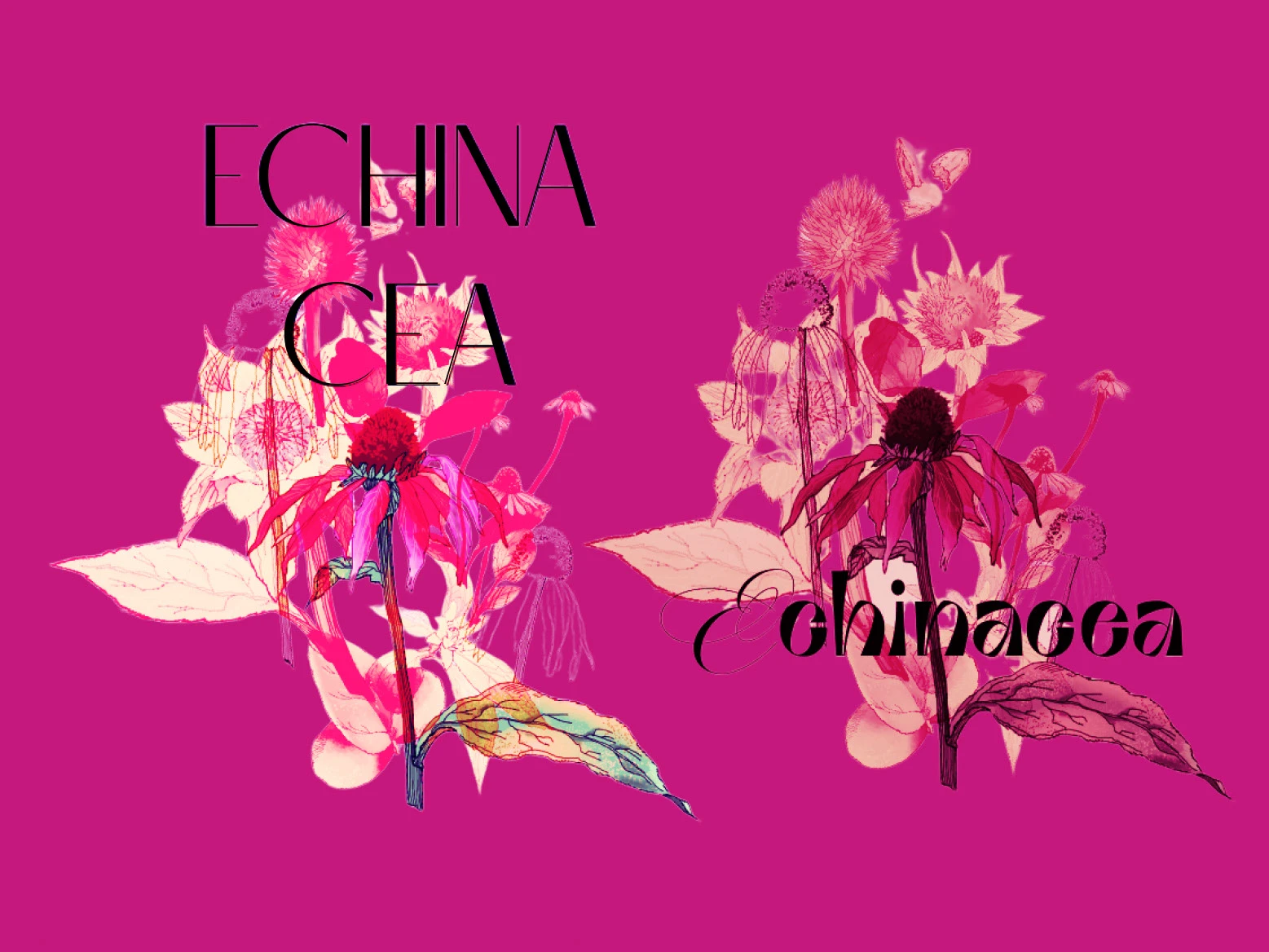 вёрстка зина — Изображение №6 — Иллюстрация, Графика на Dprofile