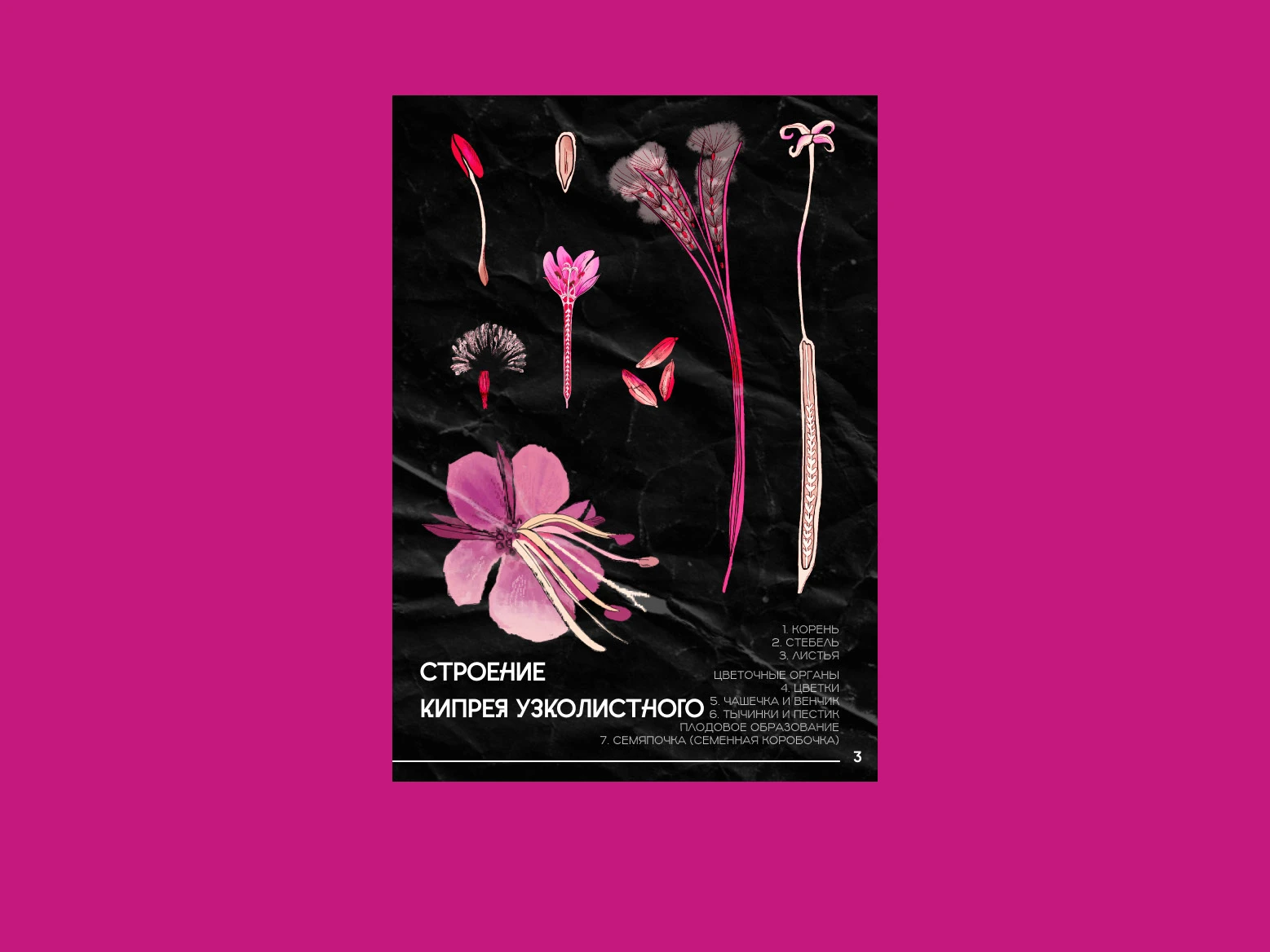 вёрстка зина — Изображение №3 — Иллюстрация, Графика на Dprofile