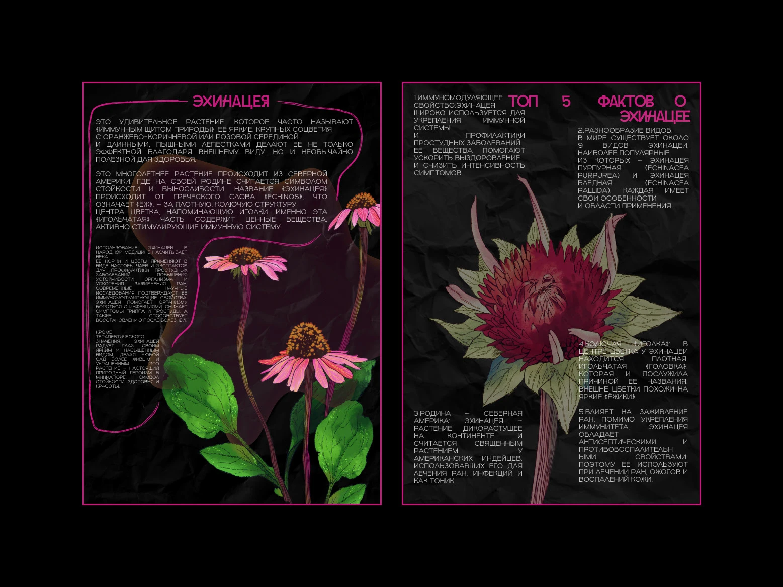 вёрстка зина — Изображение №7 — Иллюстрация, Графика на Dprofile