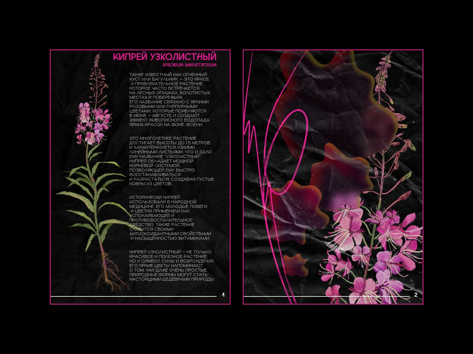 вёрстка зина — Изображение №2 — Иллюстрация, Графика на Dprofile