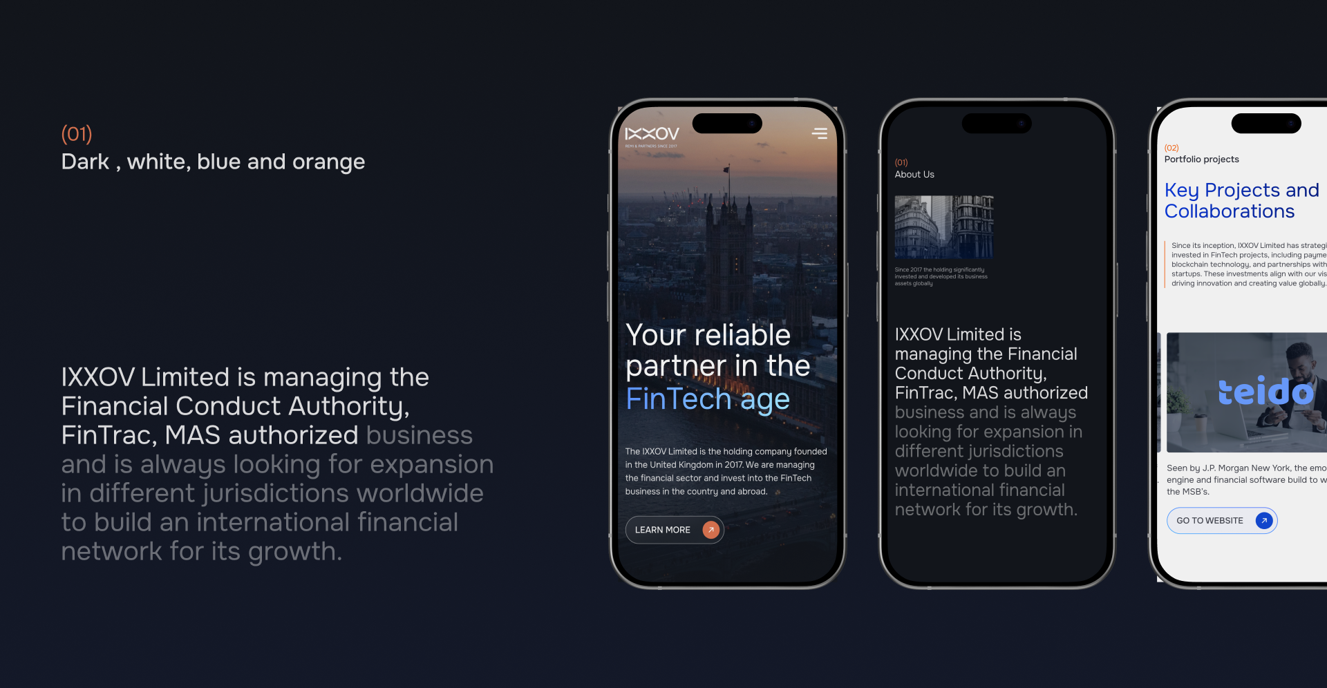 Website design for financial holding - IXXOV — Изображение №2 — Интерфейсы, Брендинг на Dprofile